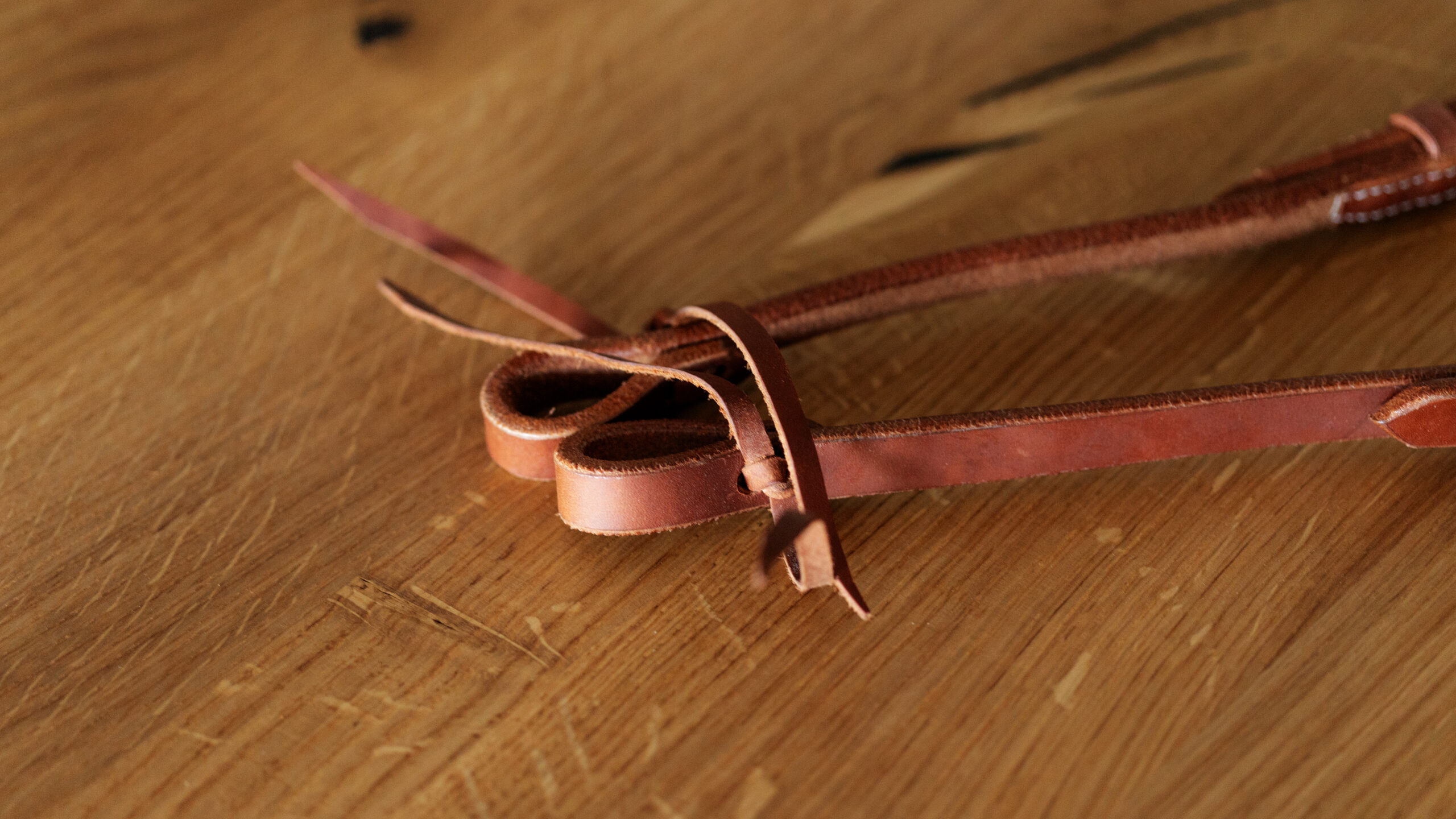 EE Tack Harness Kopfstück Herman Oak Leather Doppeleinohr – Bild 4