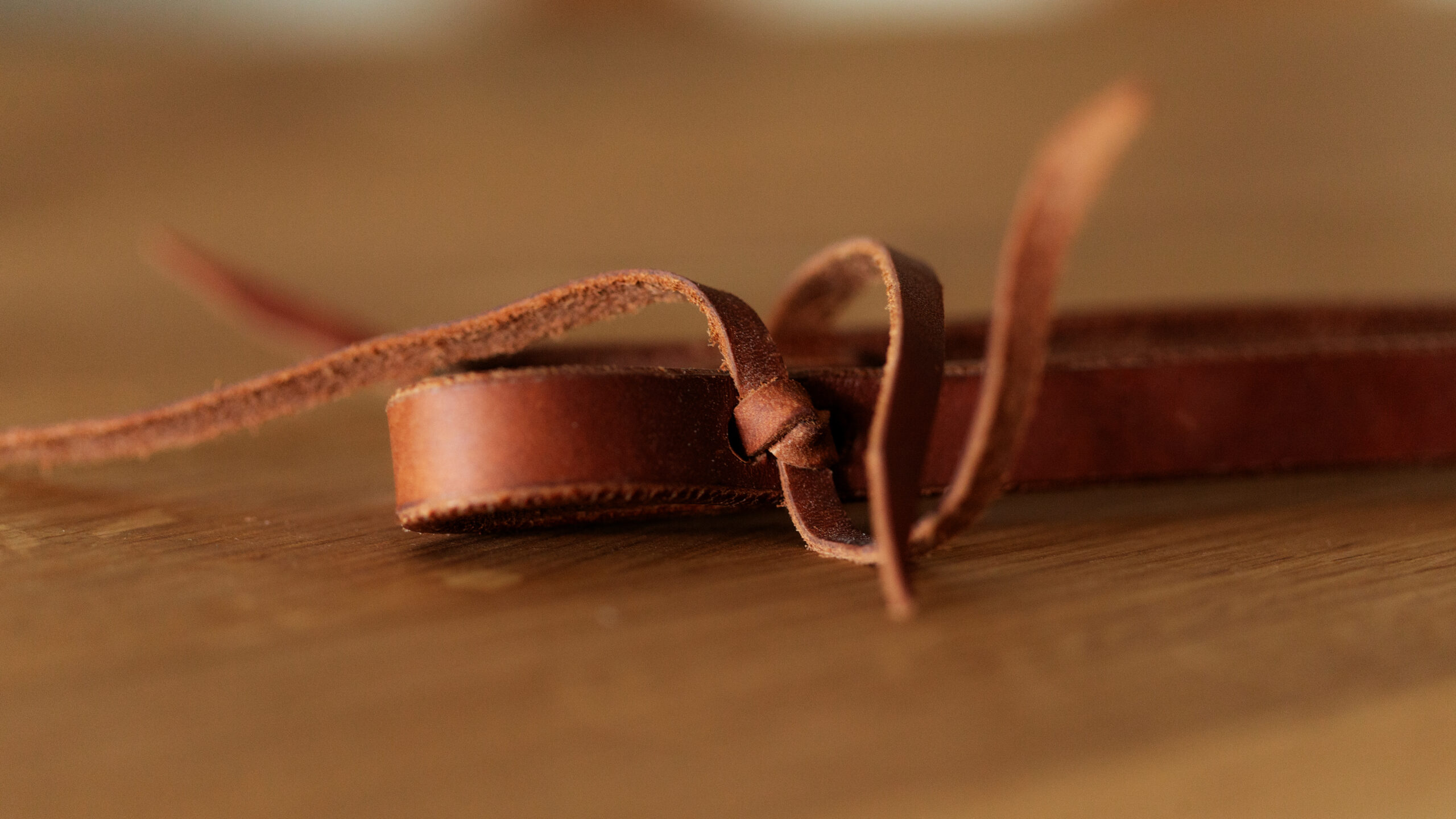 EE Tack Harness Kopfstück Herman Oak Leather Doppeleinohr – Bild 8