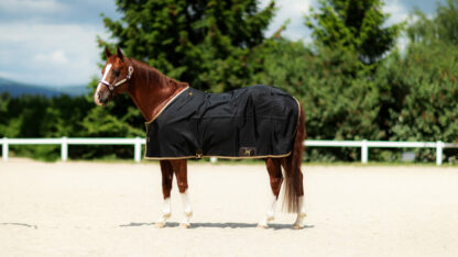 Big D Stable Sheet Open Front schwarz/beige – Bild 2