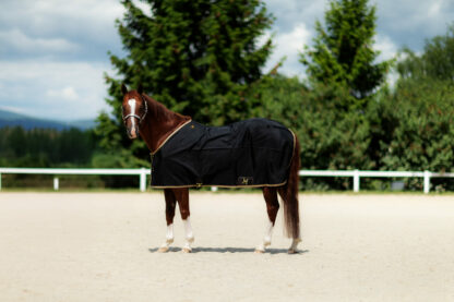 Big D Stable Sheet Open Front schwarz/beige – Bild 10