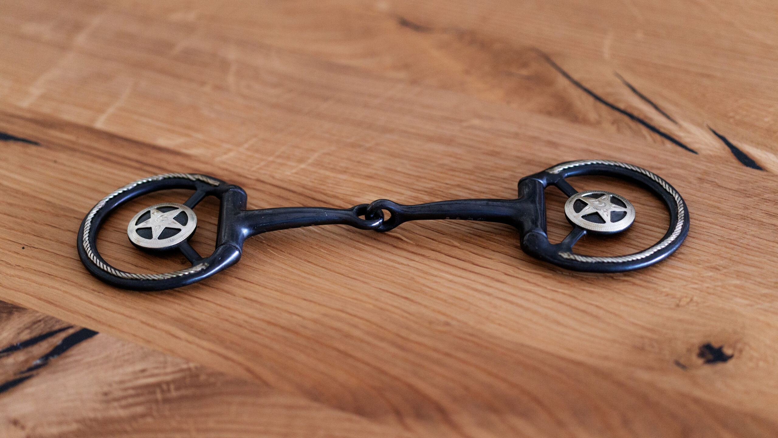 Snaffle Bit Showausführung