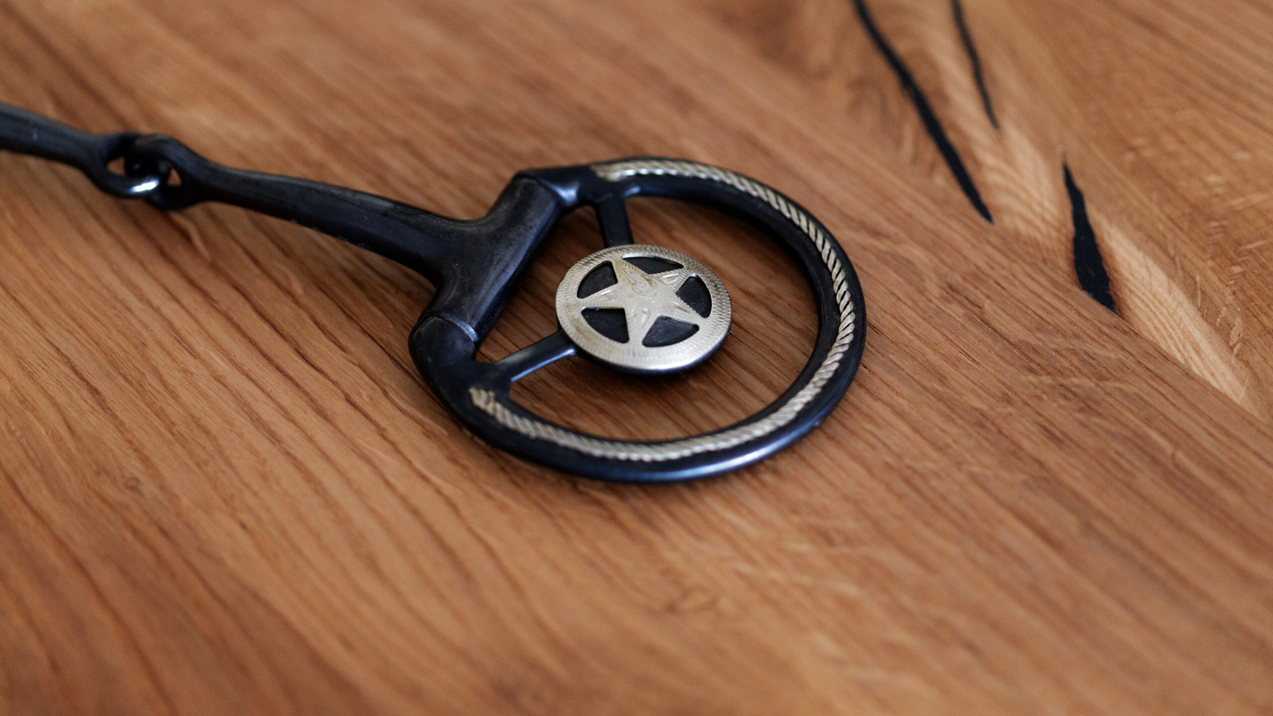 Snaffle Bit Showausführung – Bild 3