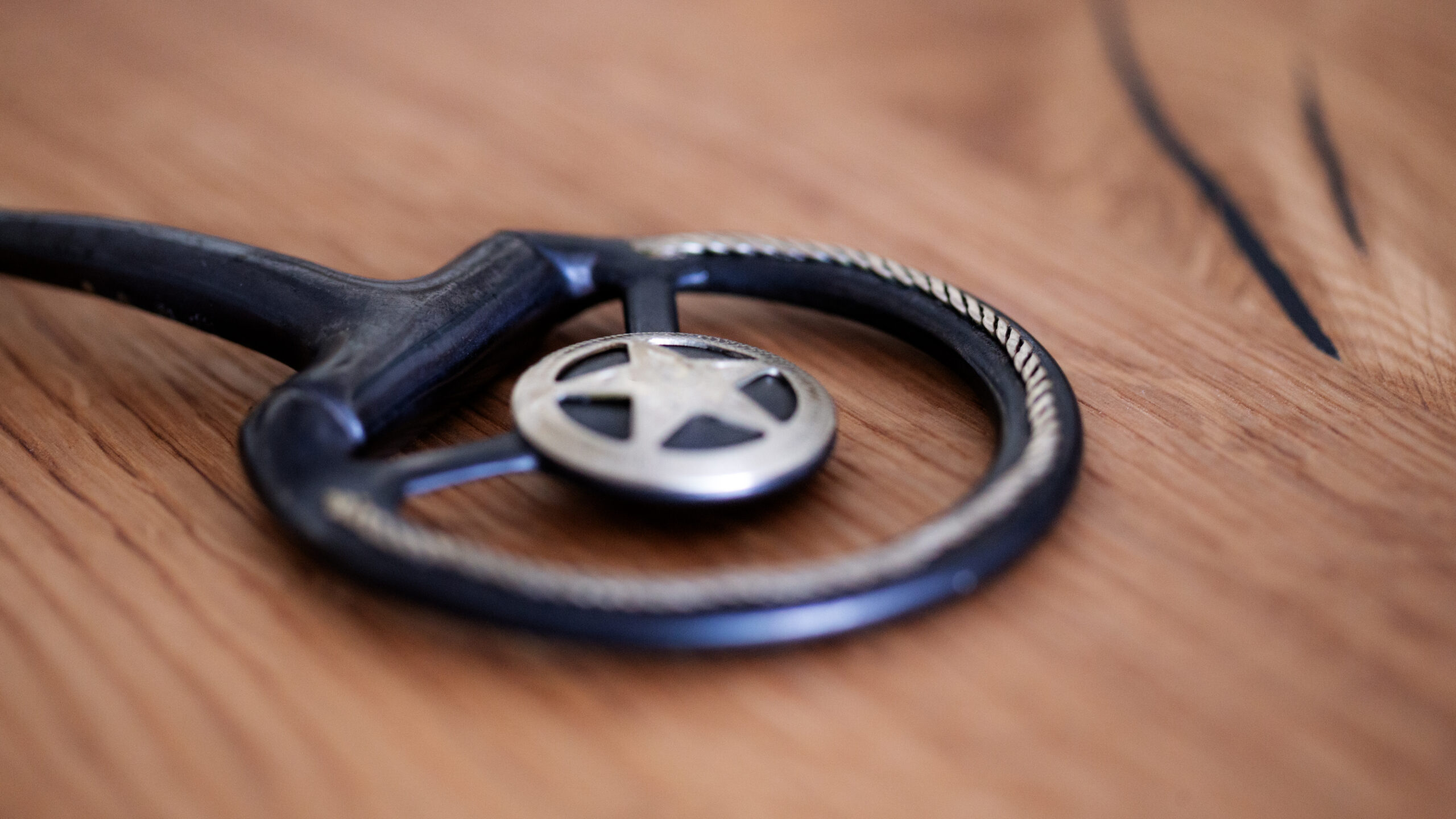 Snaffle Bit Showausführung – Bild 4