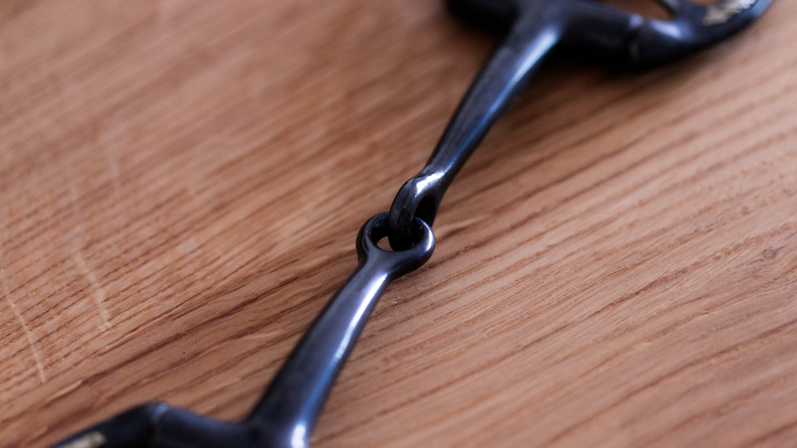 Snaffle Bit Showausführung – Bild 7