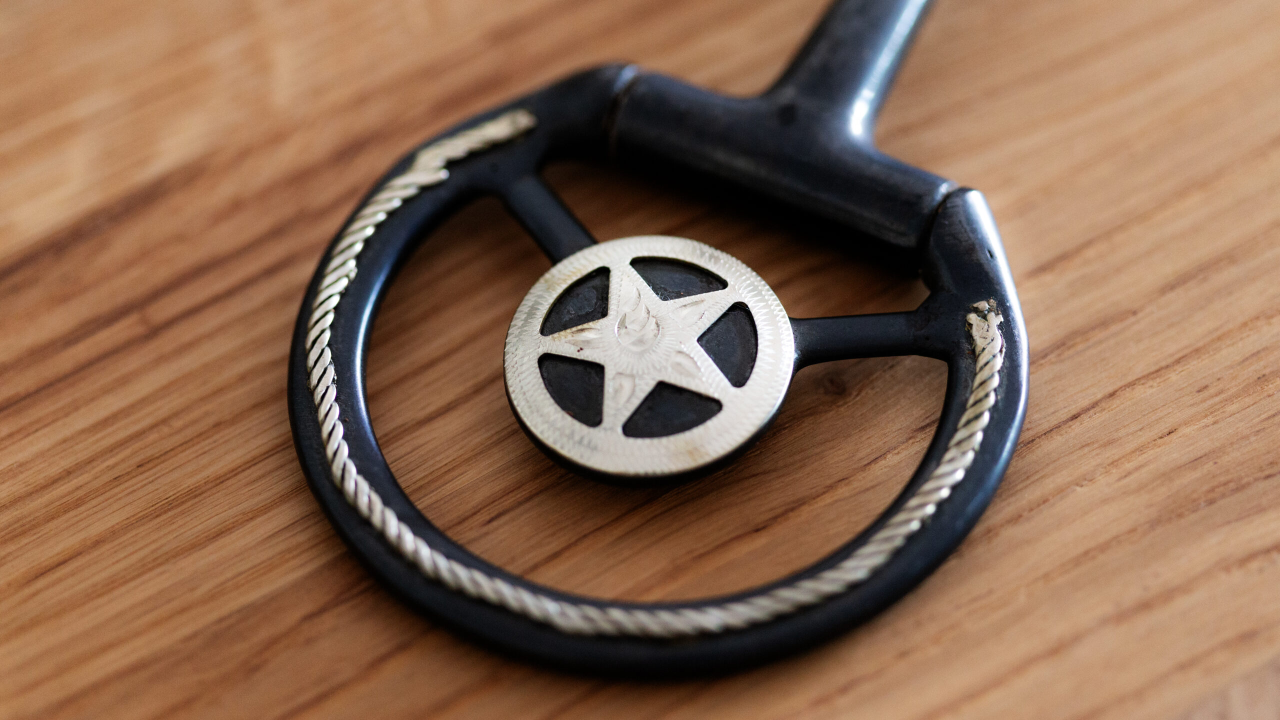 Snaffle Bit Showausführung – Bild 2