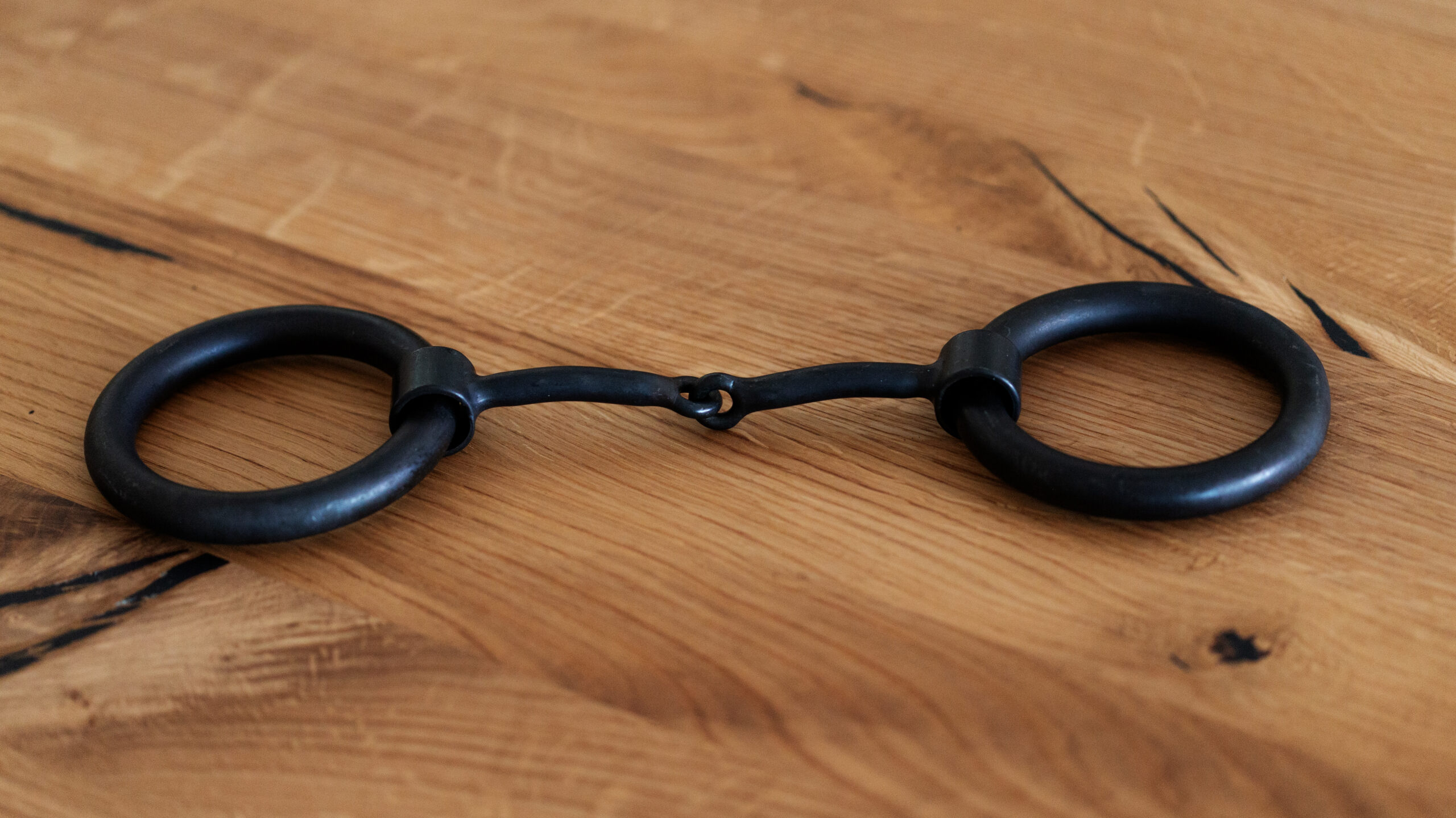 Heavy Ring Snaffle Bit