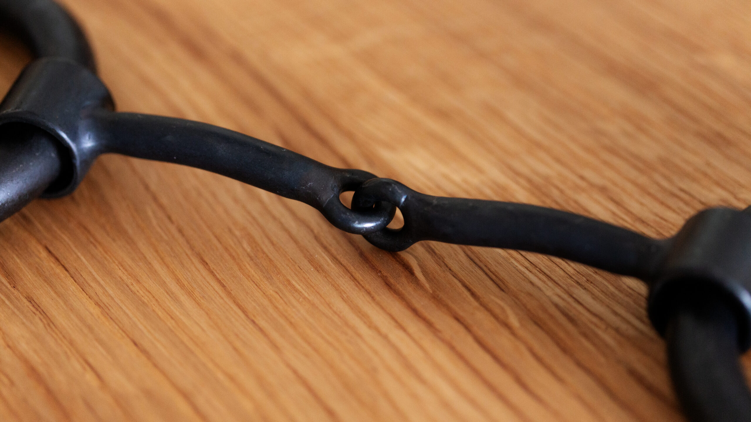Heavy Ring Snaffle Bit – Bild 3