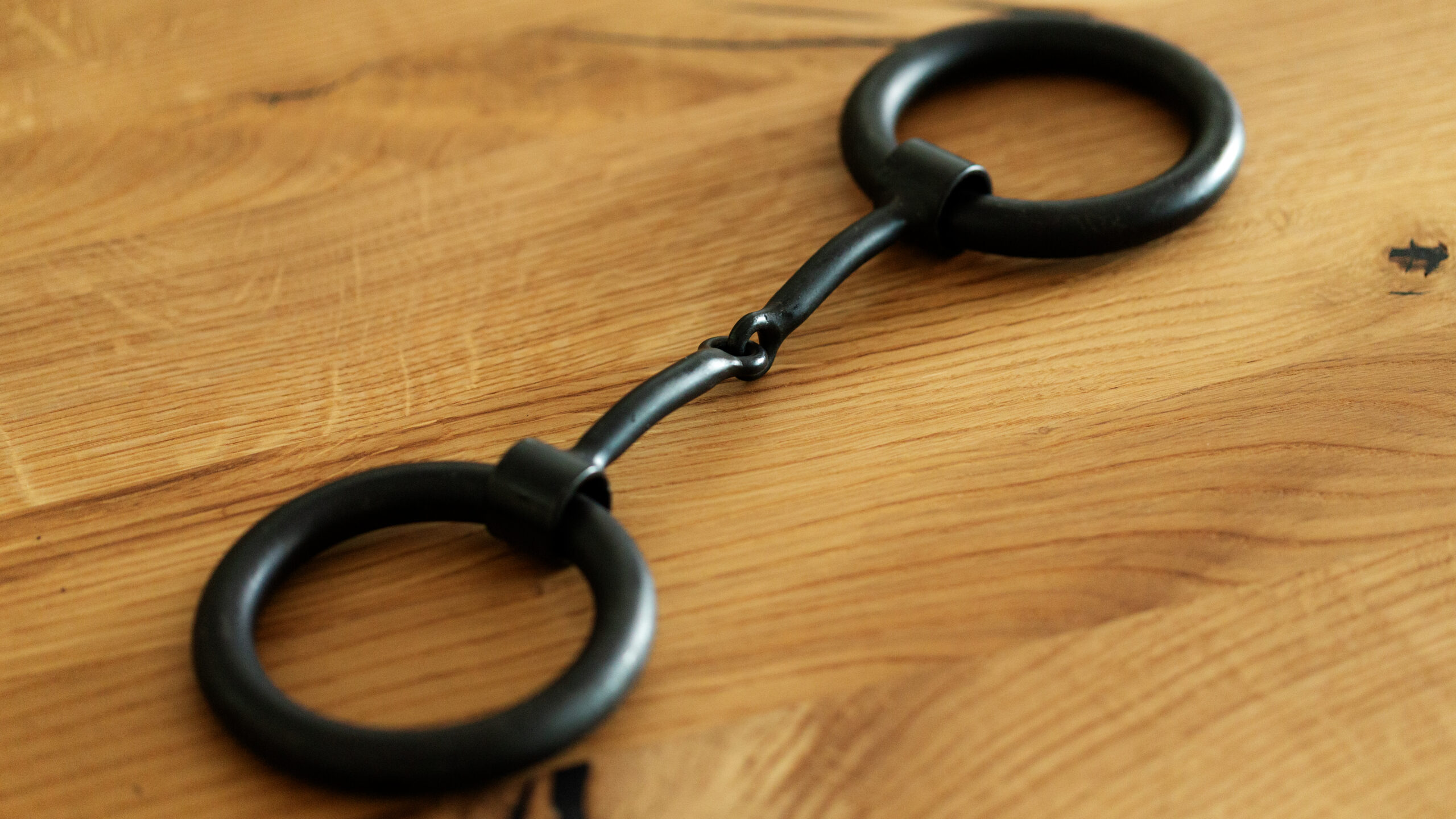 Heavy Ring Snaffle Bit – Bild 4