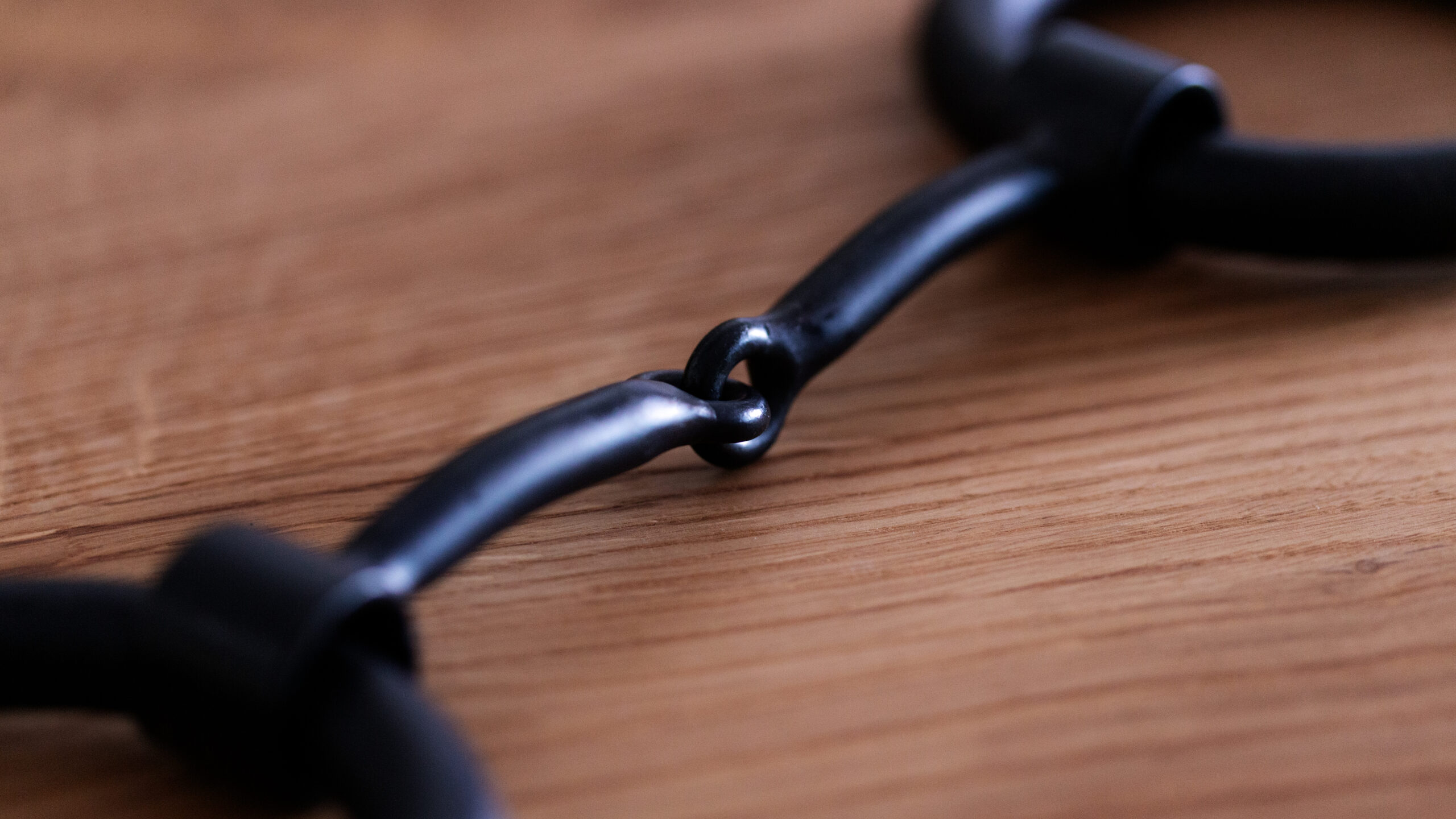 Heavy Ring Snaffle Bit – Bild 5