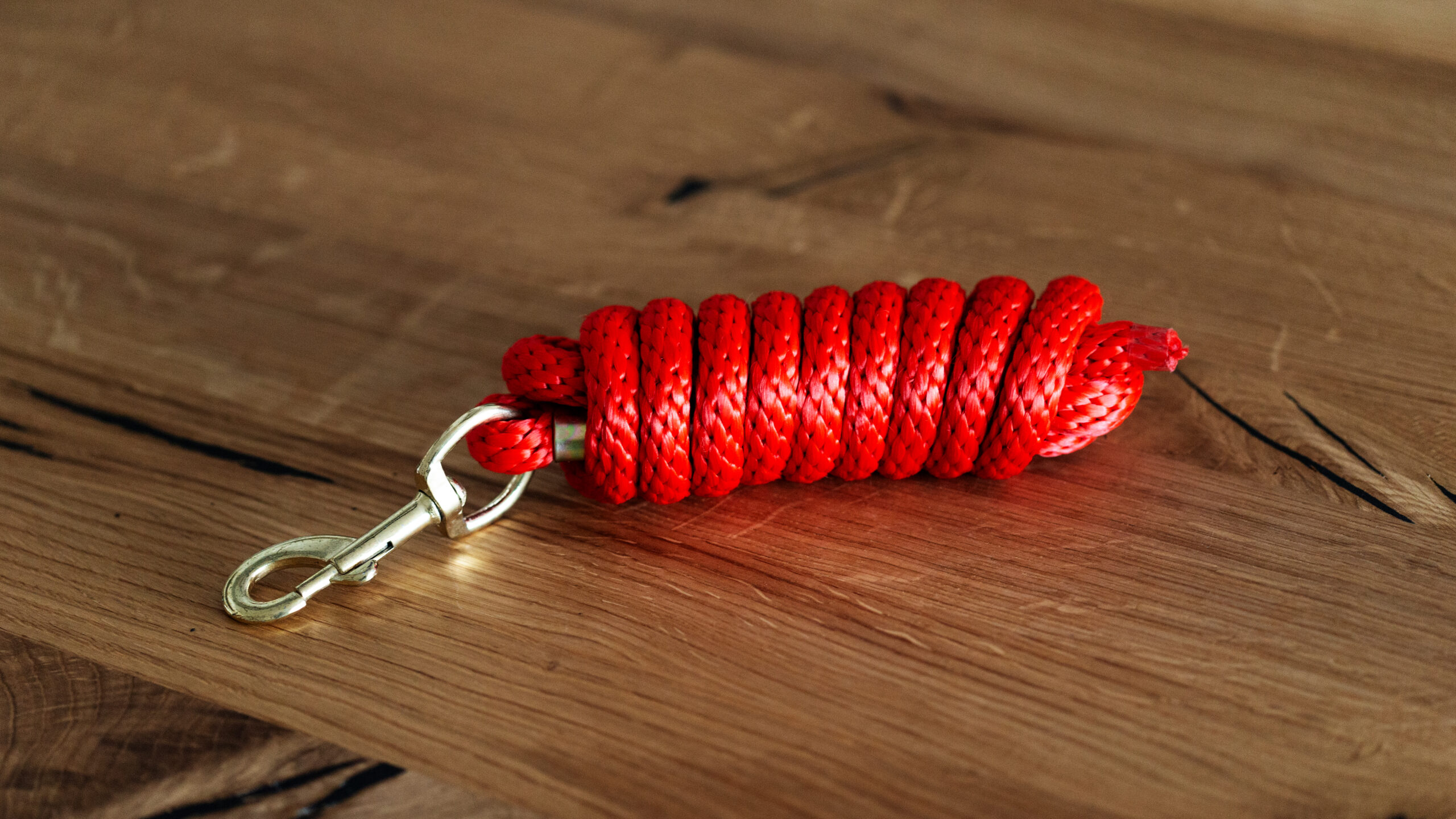 CE Poly Strick Brass Snap – Bild 8