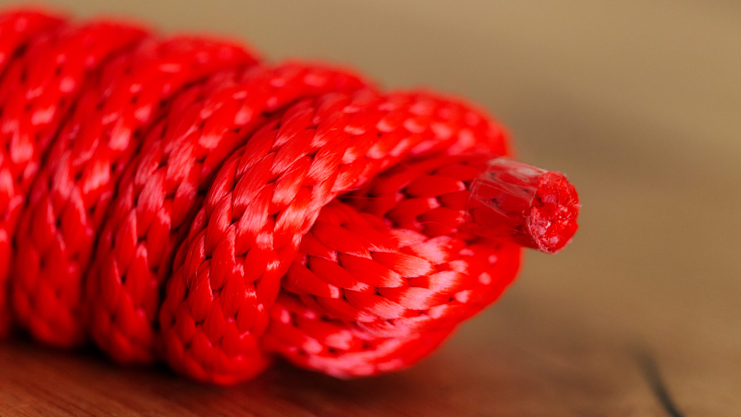 CE Poly Strick Brass Snap – Bild 11