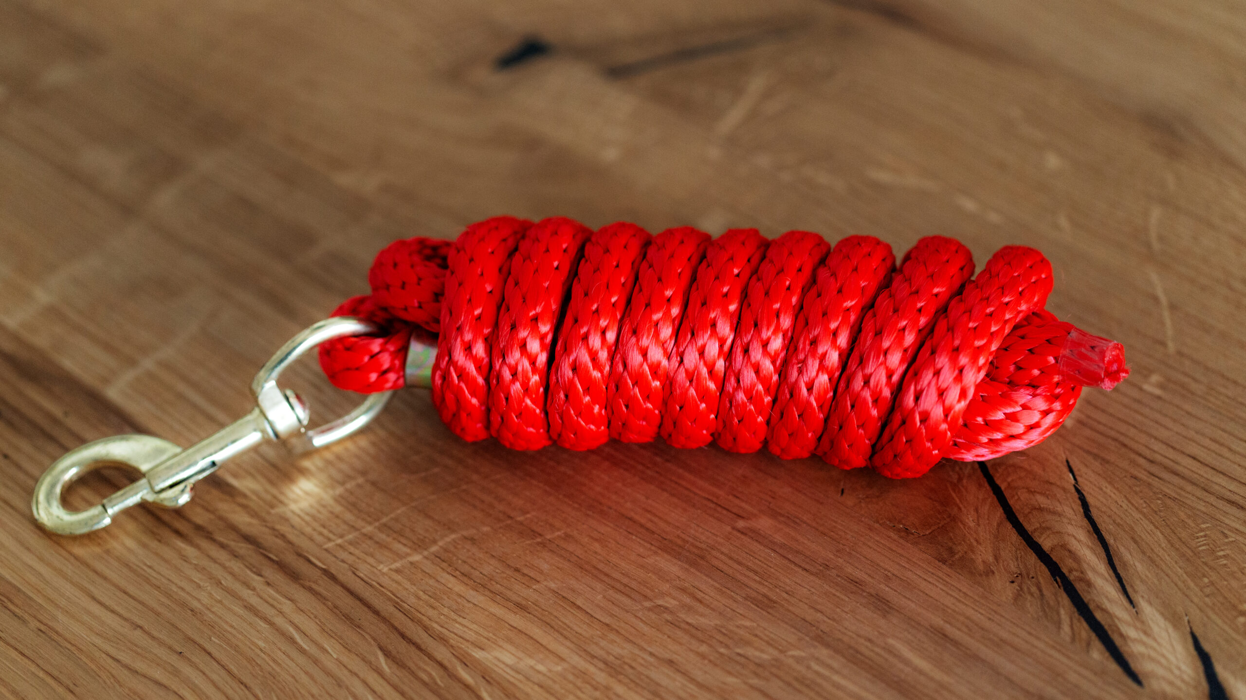 CE Poly Strick Brass Snap – Bild 14