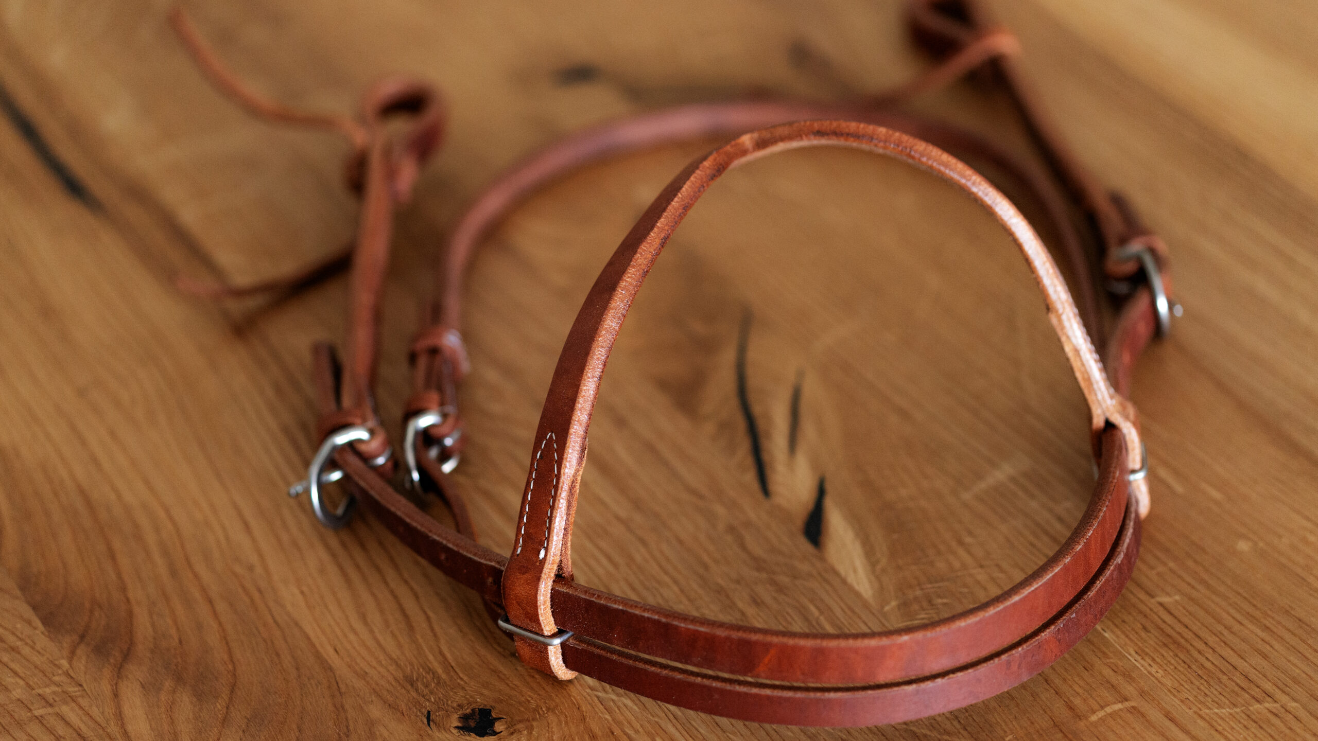 EE Tack Harness Kopfstück V-Stirnband