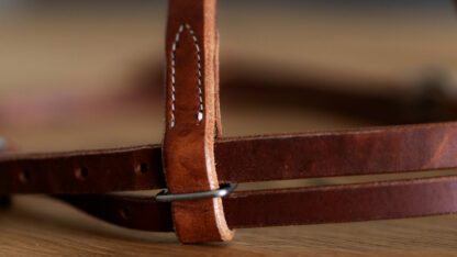 EE Tack Harness Kopfstück V-Stirnband – Bild 3