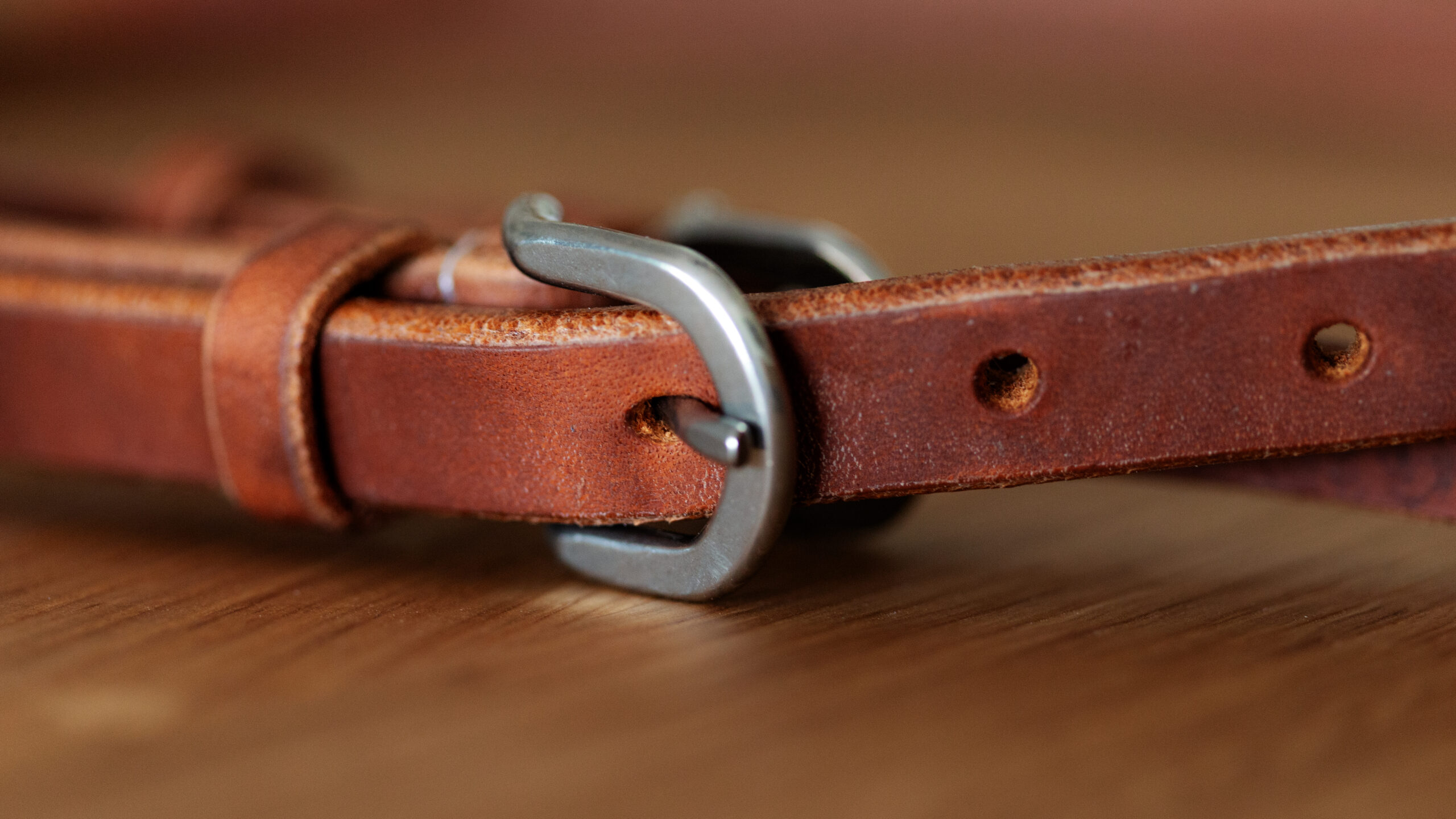 EE Tack Harness Kopfstück V-Stirnband – Bild 6