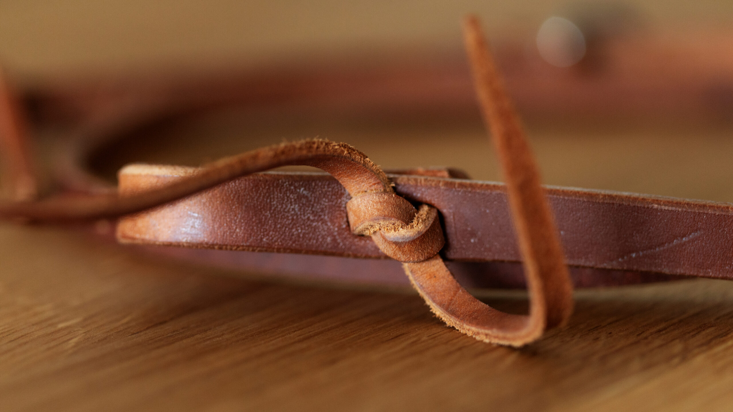 EE Tack Harness Kopfstück V-Stirnband – Bild 7