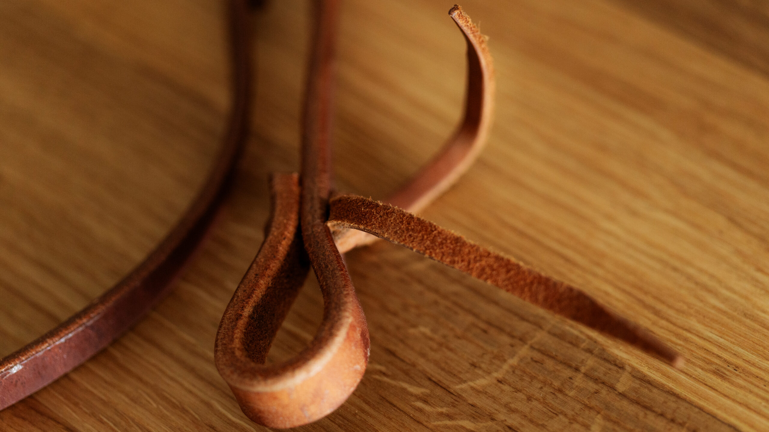 EE Tack Harness Kopfstück V-Stirnband – Bild 9