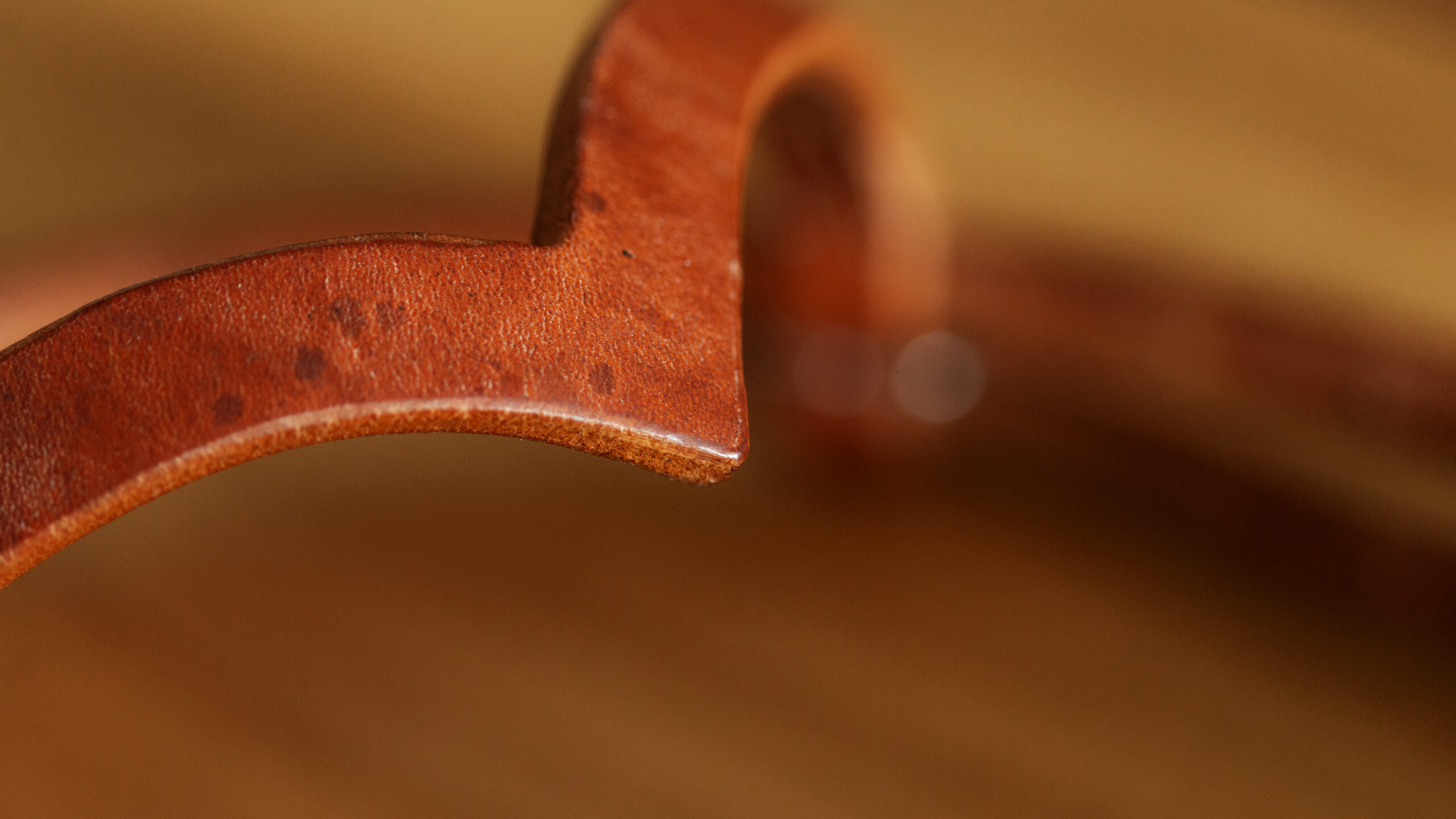 EE Tack Harness Kopfstück V-Stirnband – Bild 10