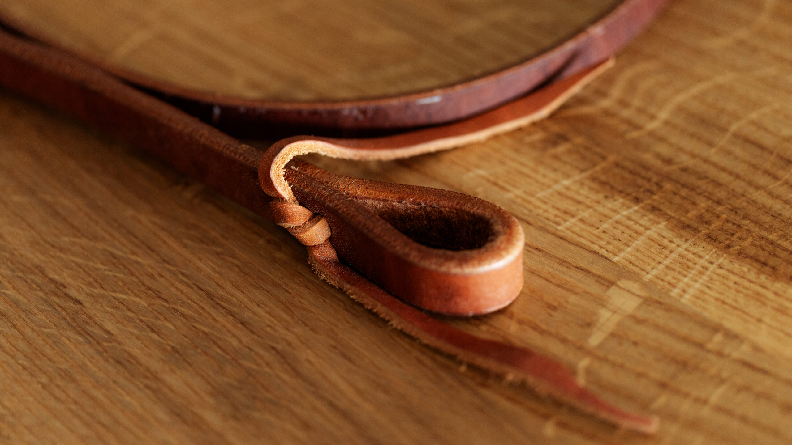 EE Tack Harness Kopfstück V-Stirnband – Bild 12