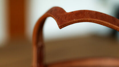 EE Tack Harness Kopfstück V-Stirnband – Bild 2