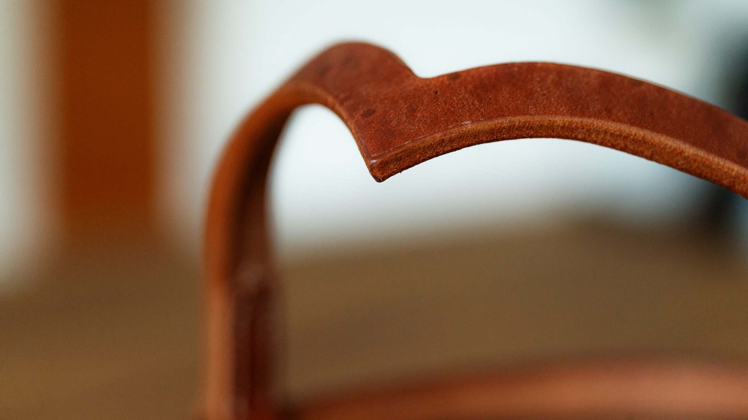 EE Tack Harness Kopfstück V-Stirnband – Bild 2