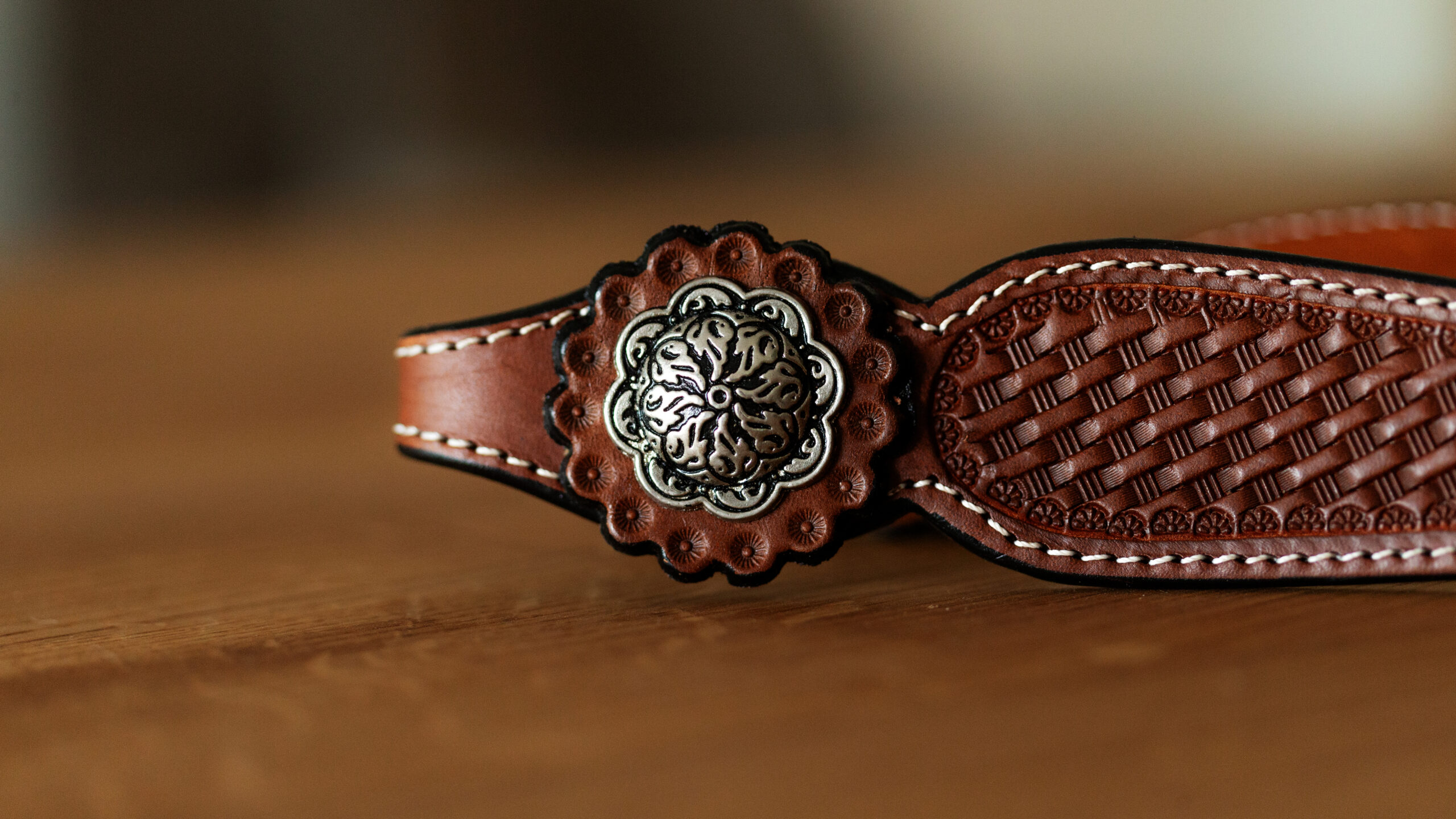 EE Tack Kopfstück Einohr Show – Bild 3