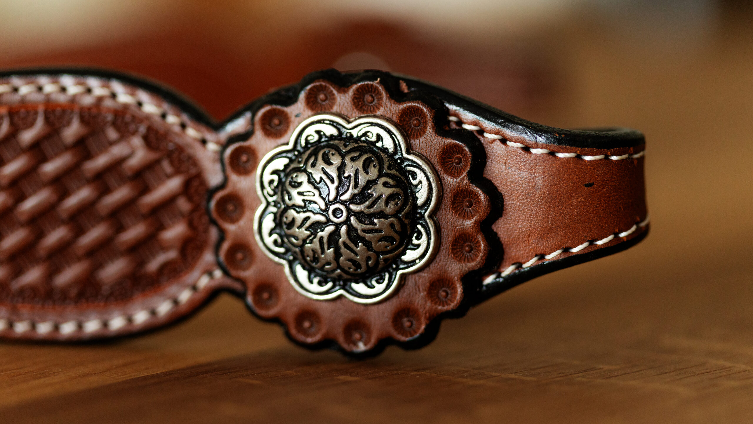 EE Tack Kopfstück Einohr Show – Bild 7