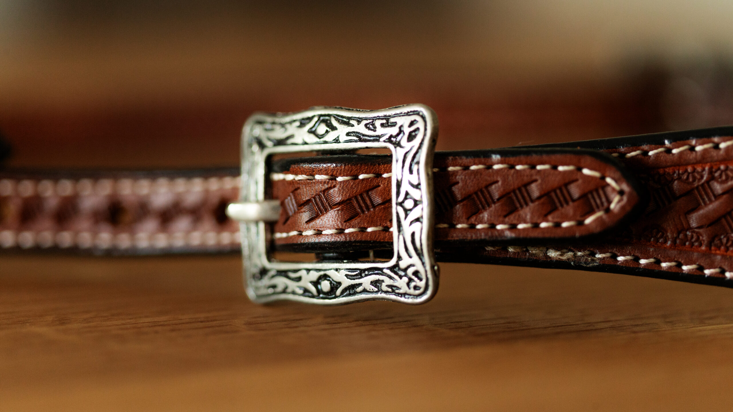 EE Tack Kopfstück Einohr Show – Bild 2