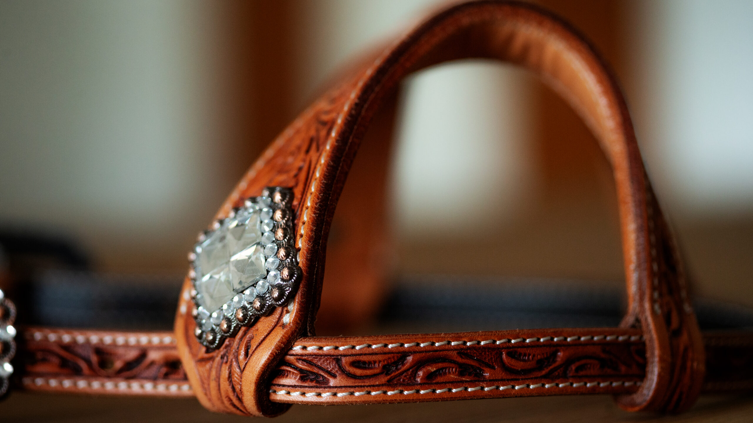 SN Tack Kopfstück Doppeleinohr Show-HS162 – Bild 2