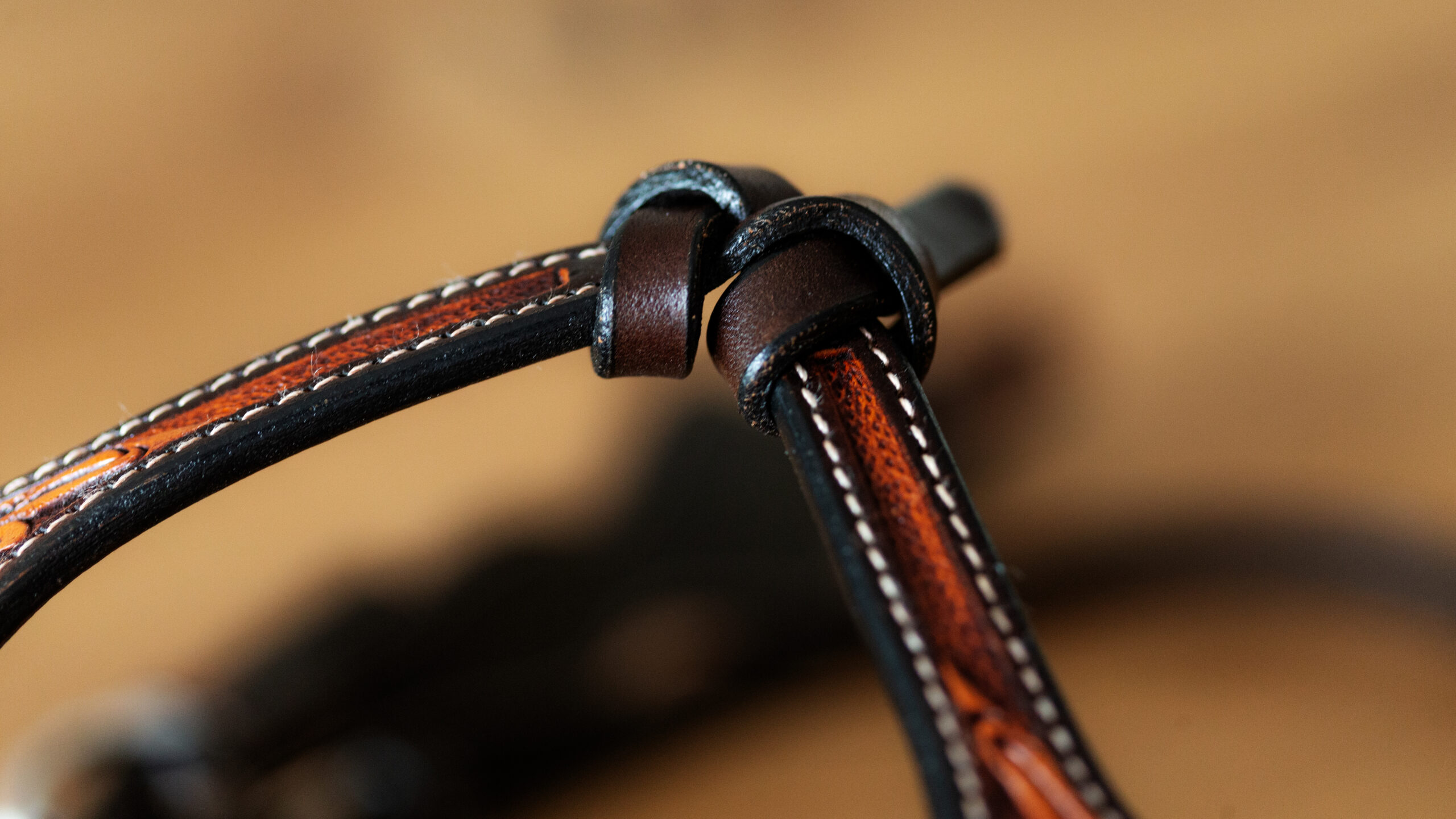 EE Tack Kopfstück Fut. Stirnband V 111 – Bild 7