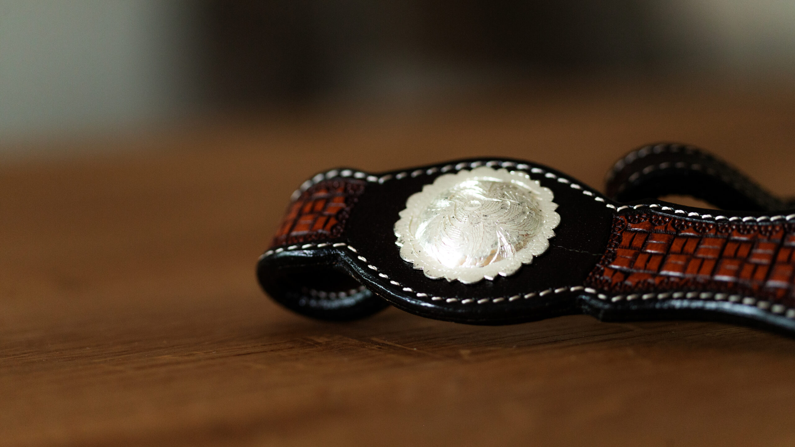 EE Tack Show Kopfstück Einohr N 665 – Bild 5