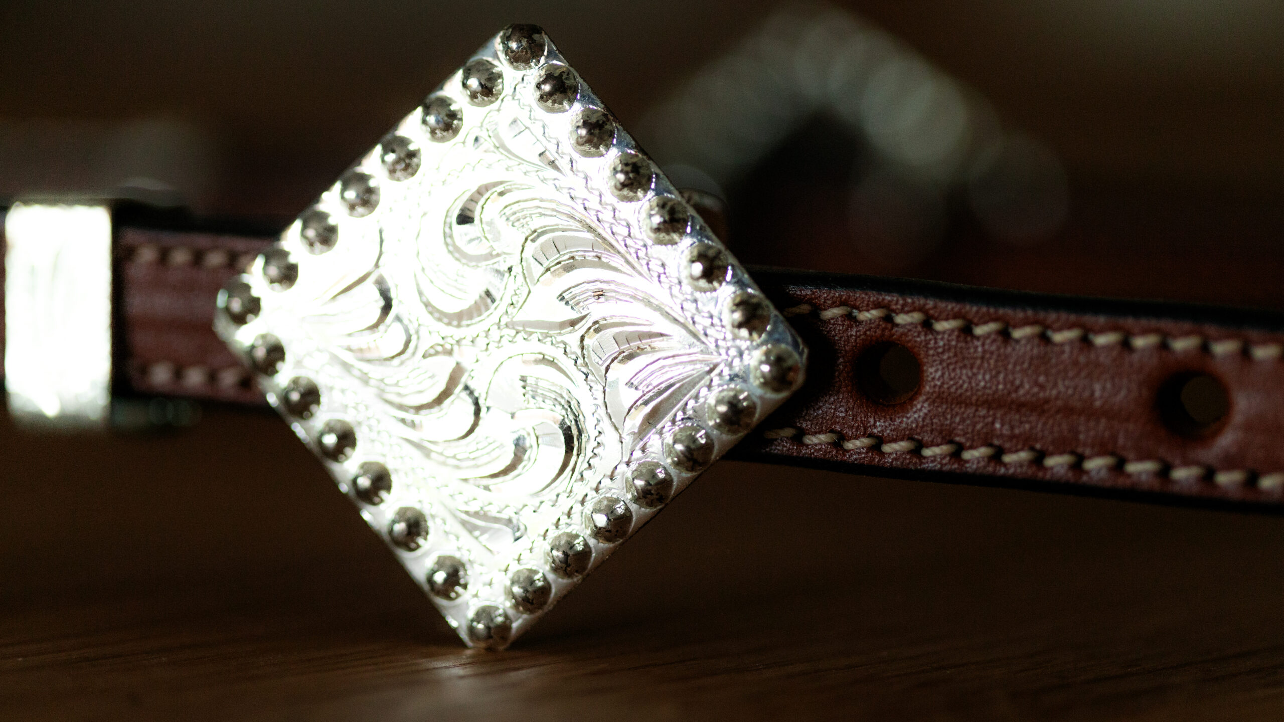 EE Tack Show Kopfstück Doppeleinohr – Bild 2