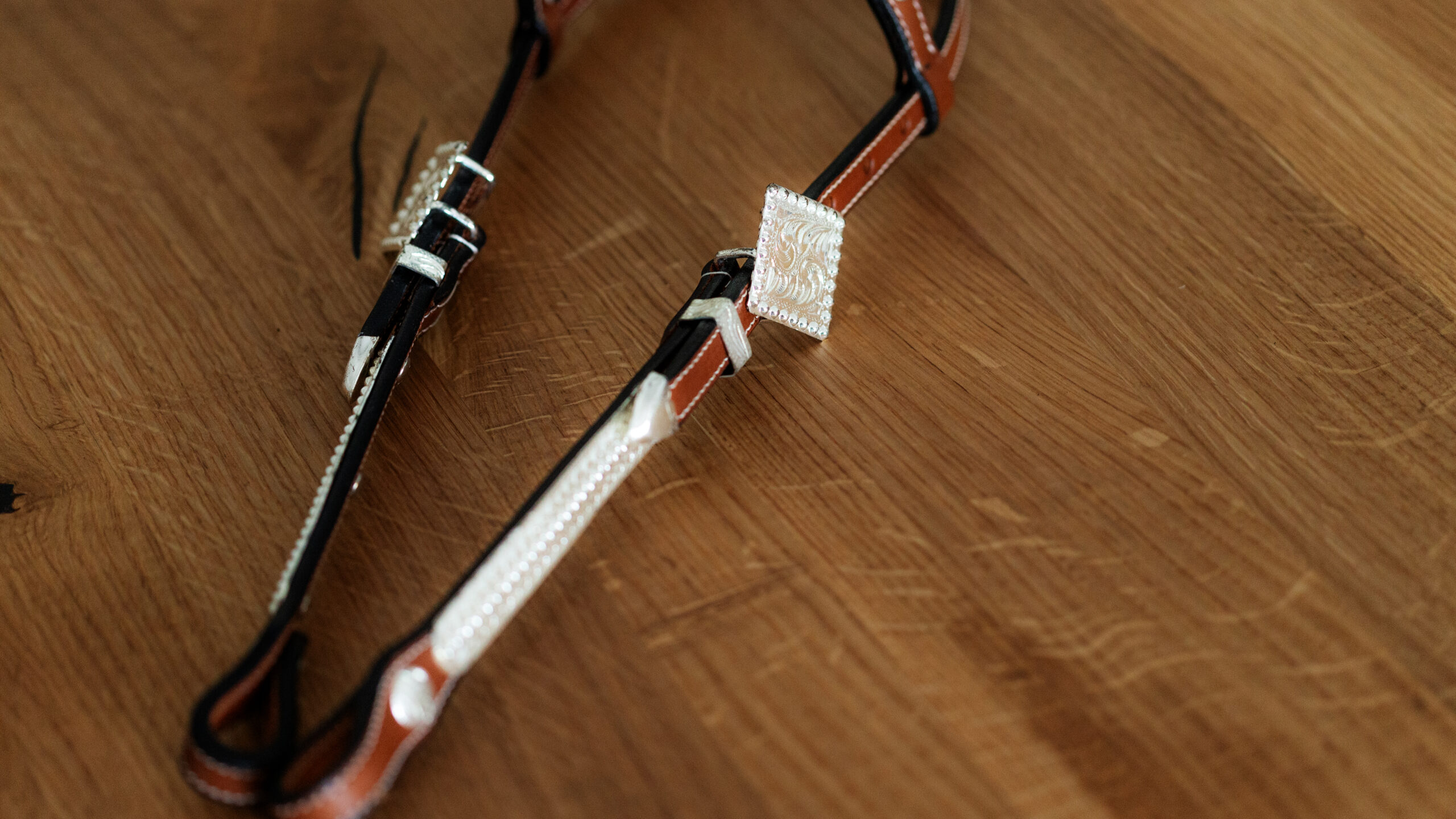 EE Tack Show Kopfstück Doppeleinohr – Bild 5