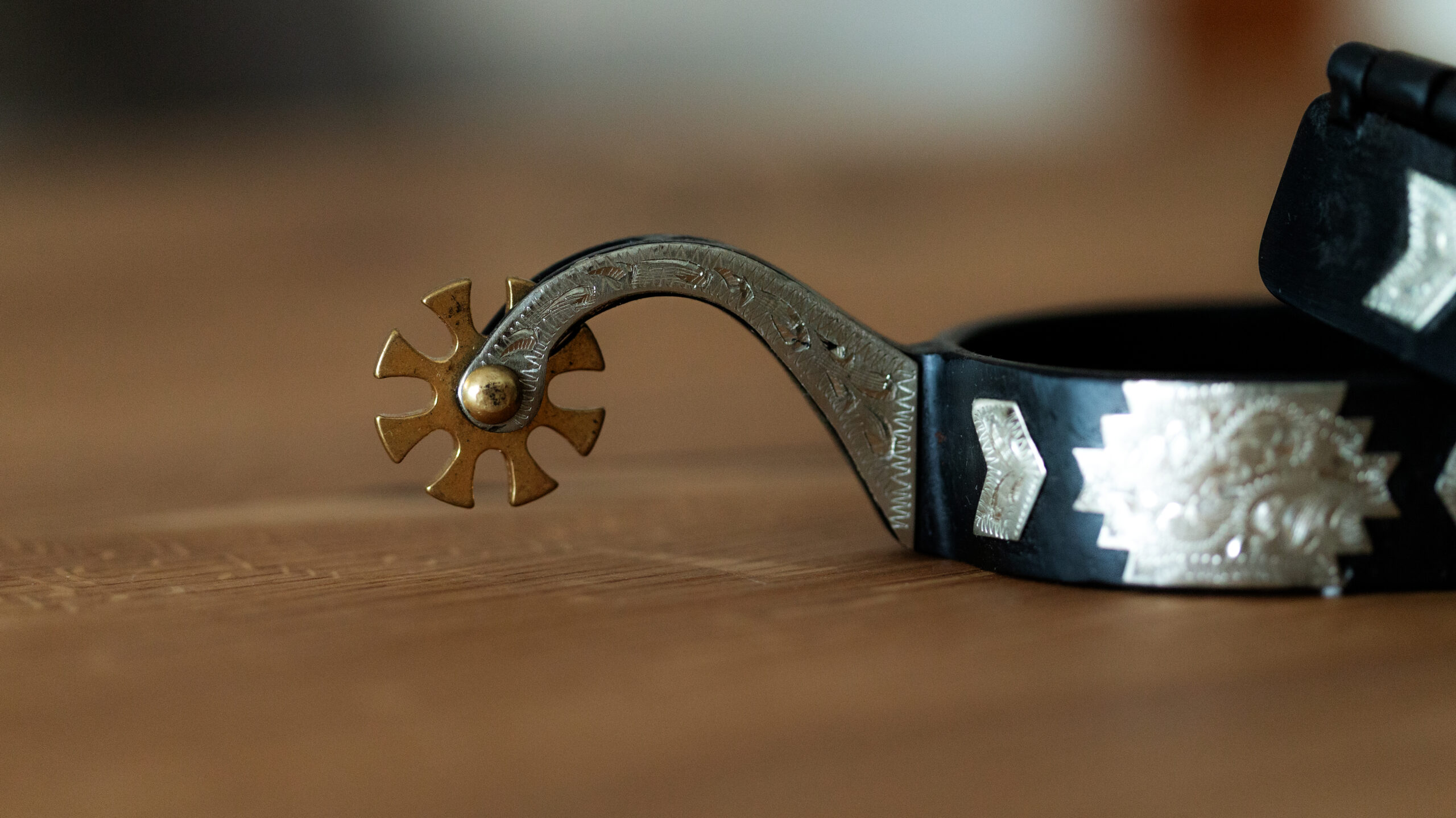 BS/GS Sporen Black Steel mit German Silver – Bild 2