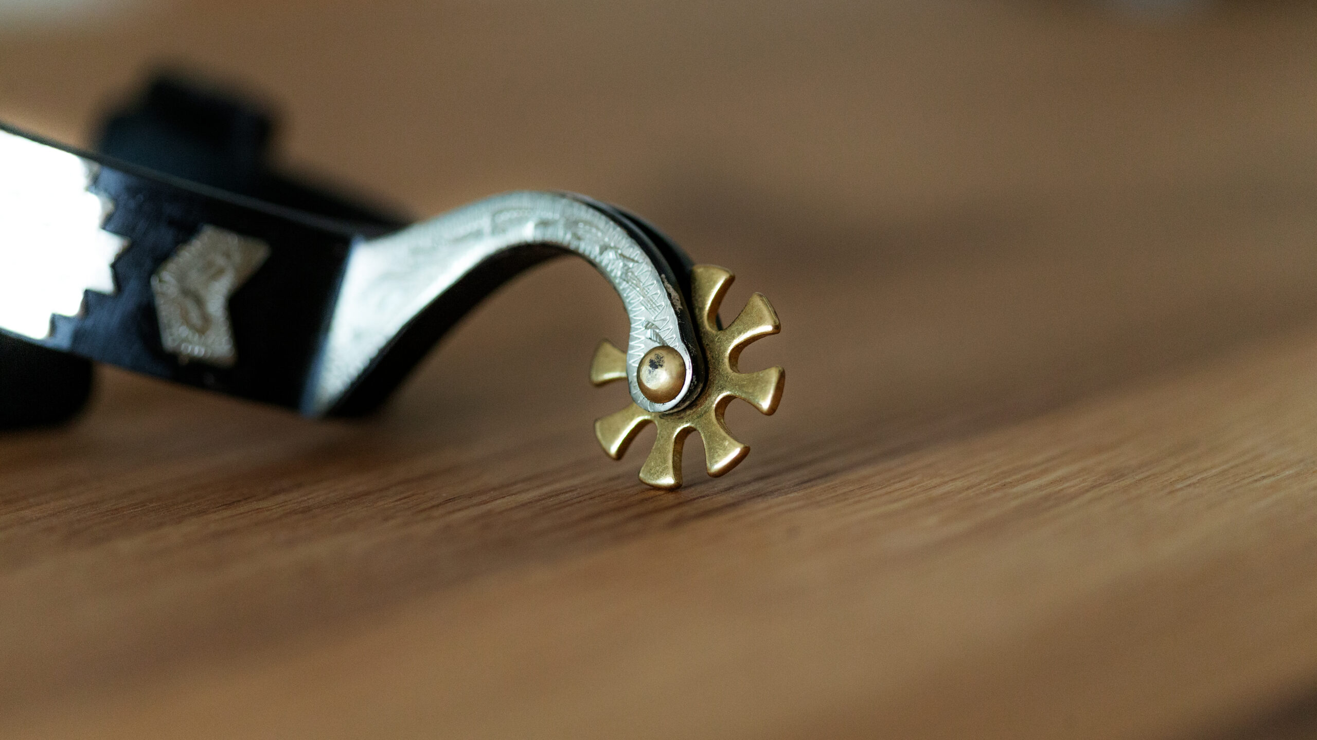 BS/GS Sporen Black Steel mit German Silver – Bild 3