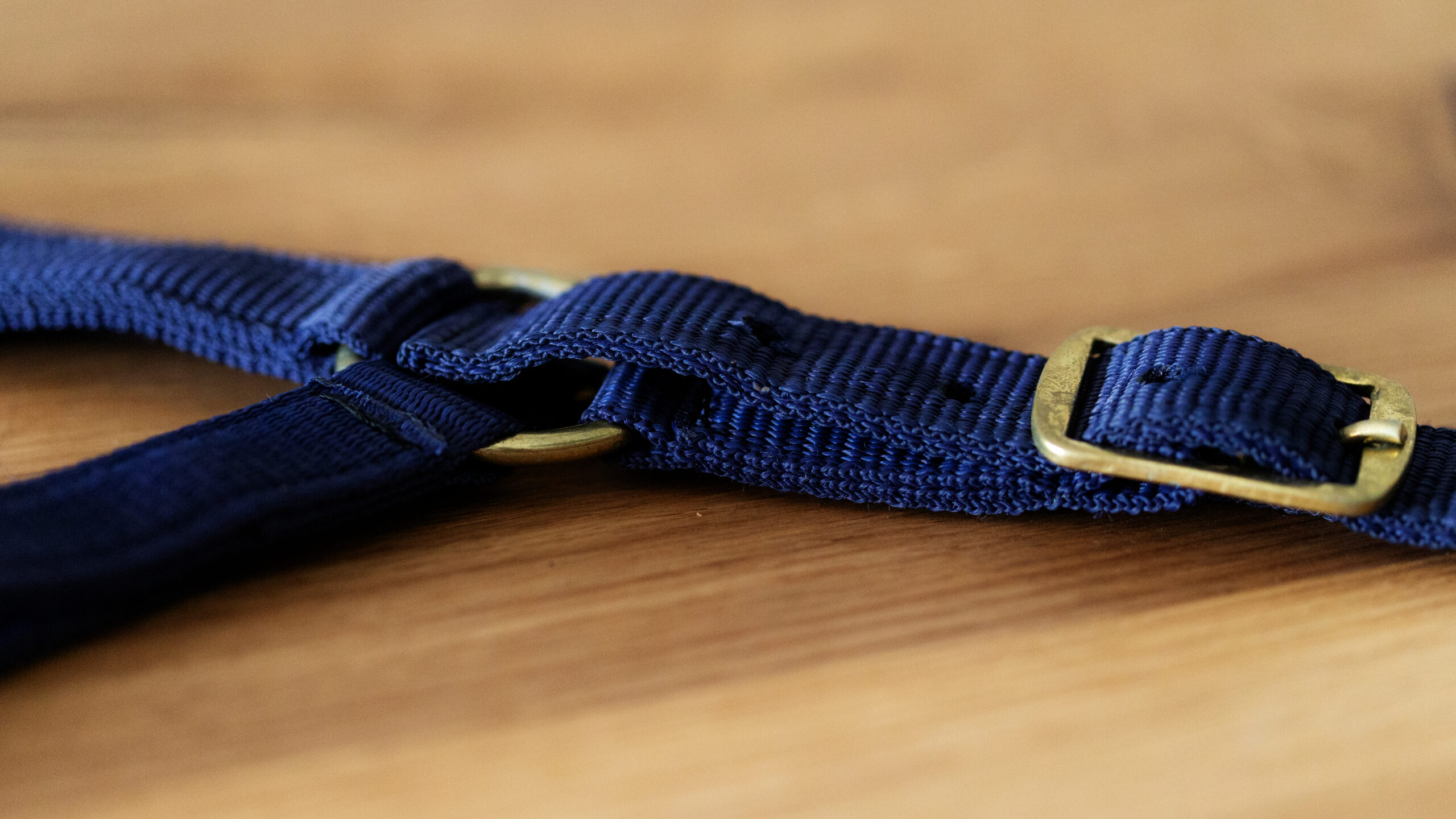 Professional Halfter – Bild 4