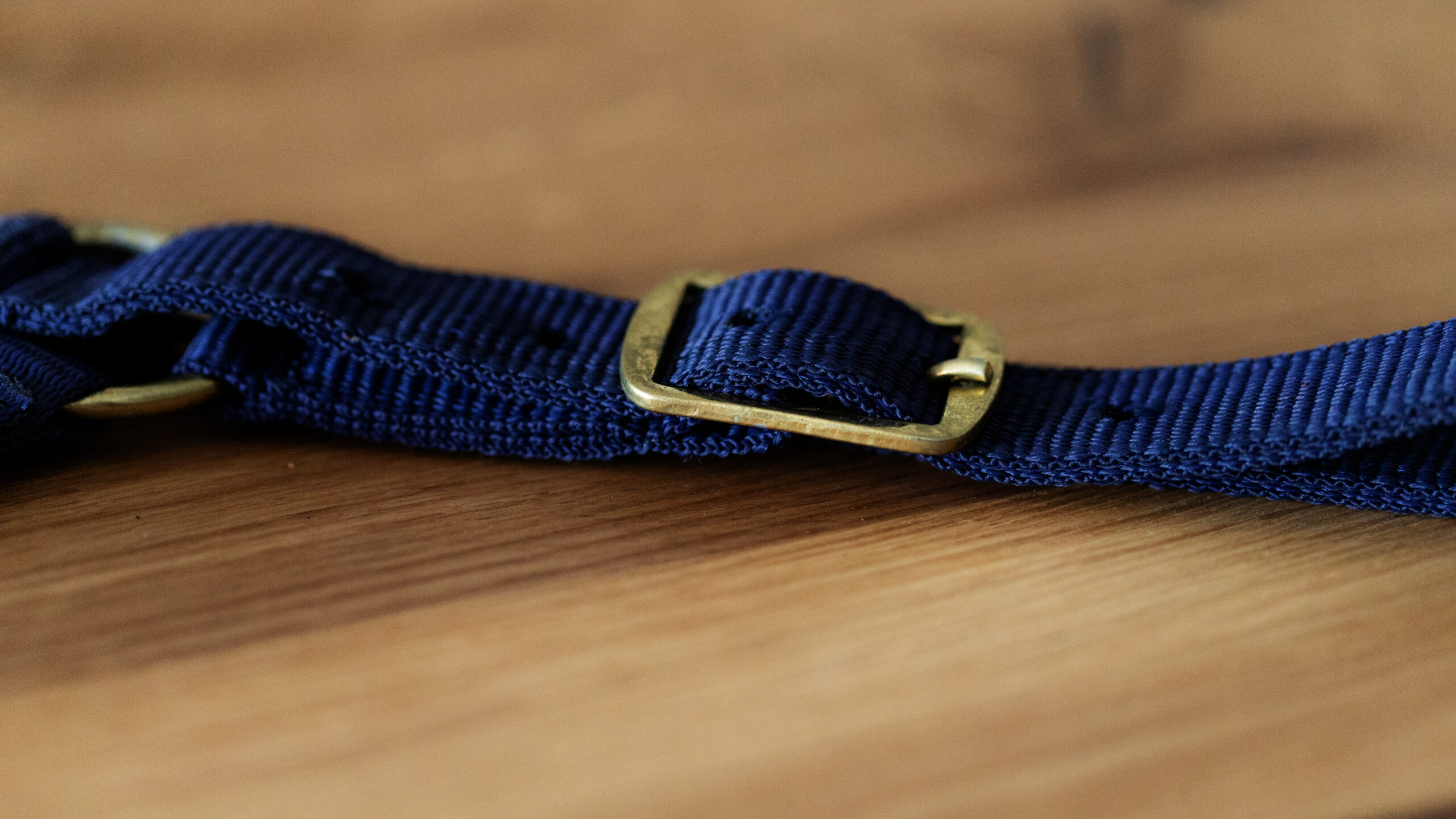 Professional Halfter – Bild 5