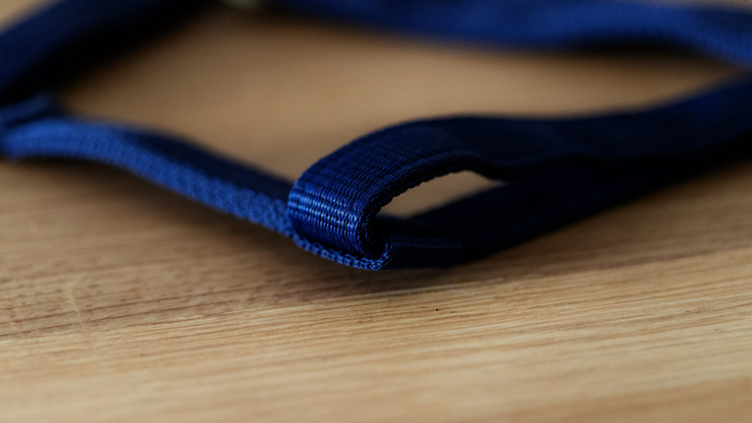 Professional Halfter – Bild 6