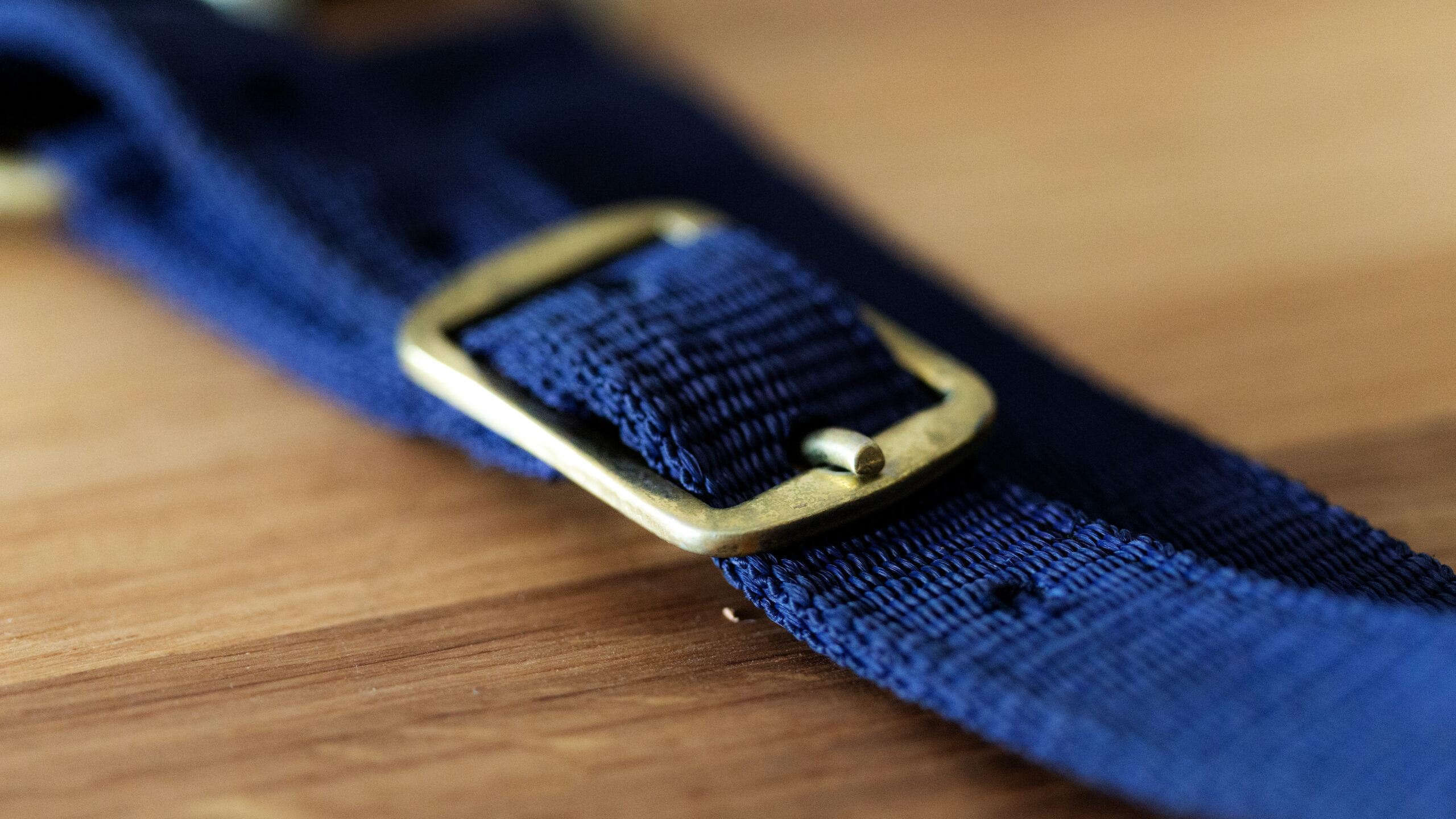 Professional Halfter – Bild 8