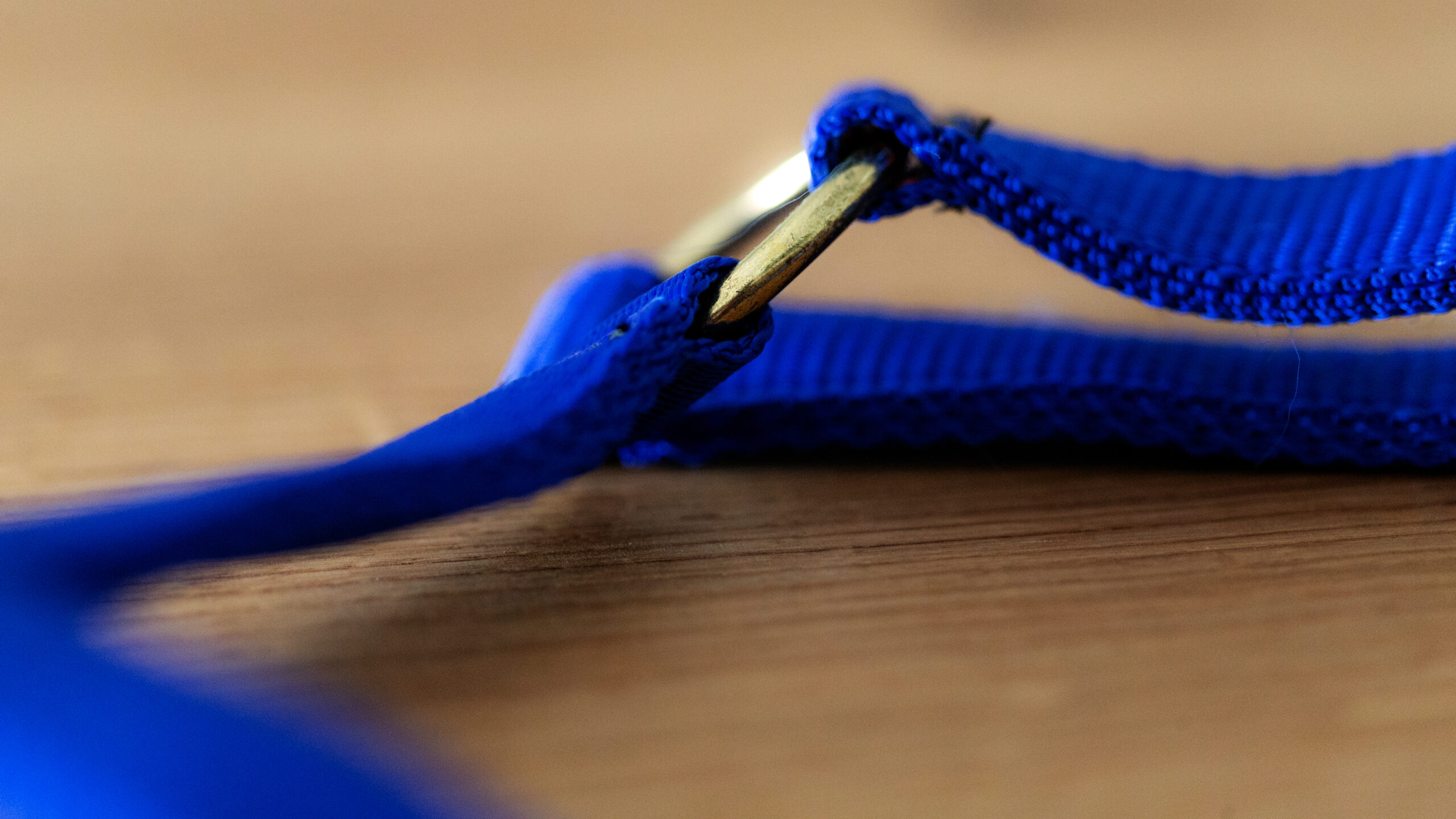 Professional Halfter – Bild 11