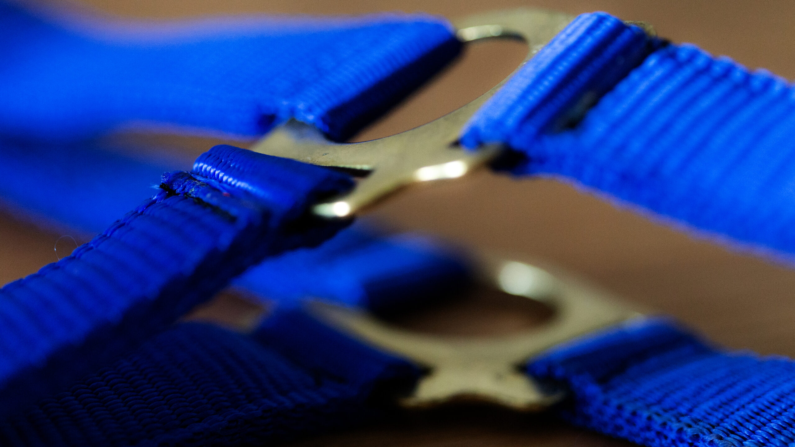 Professional Halfter – Bild 12