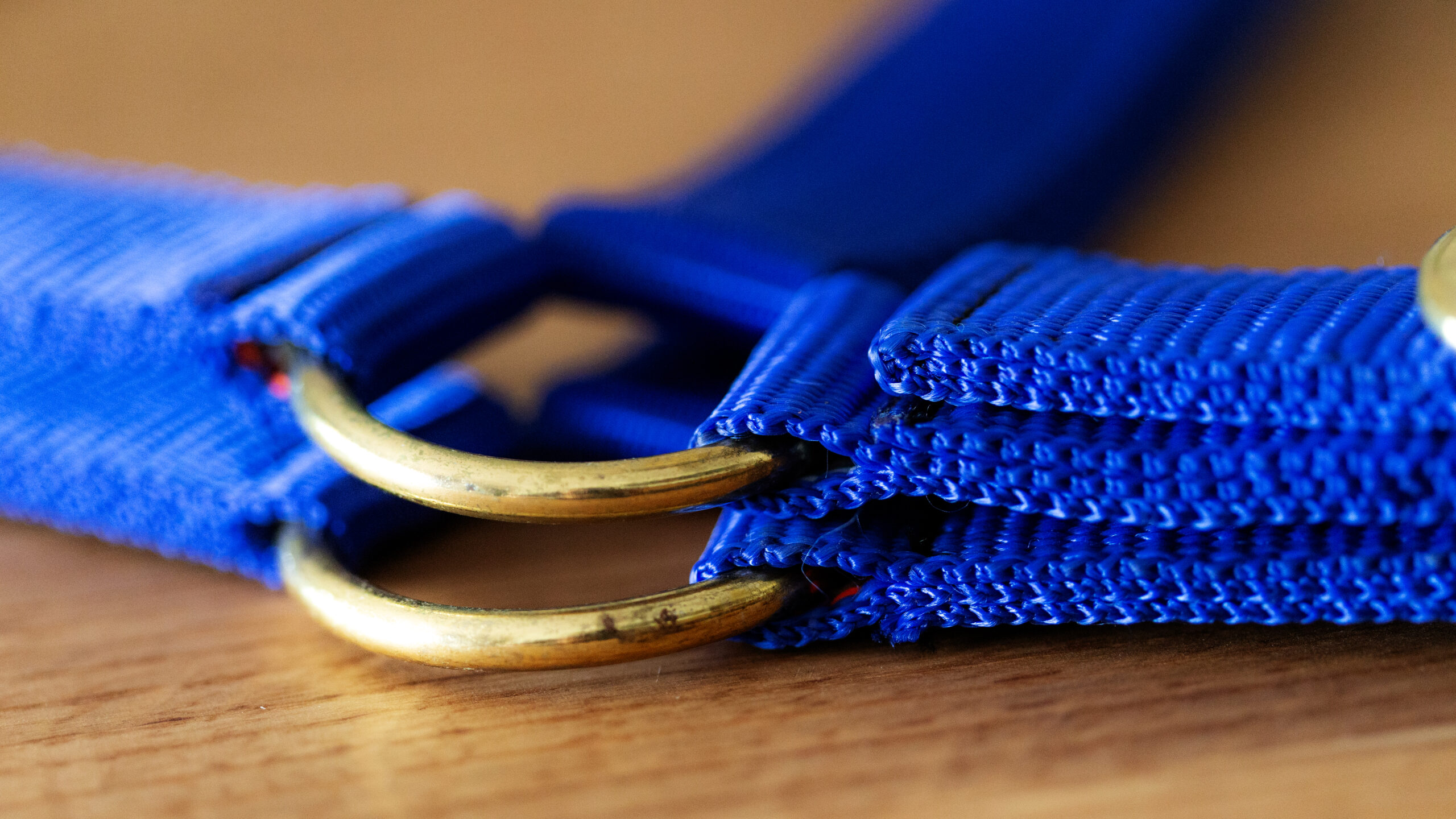 Professional Halfter – Bild 13