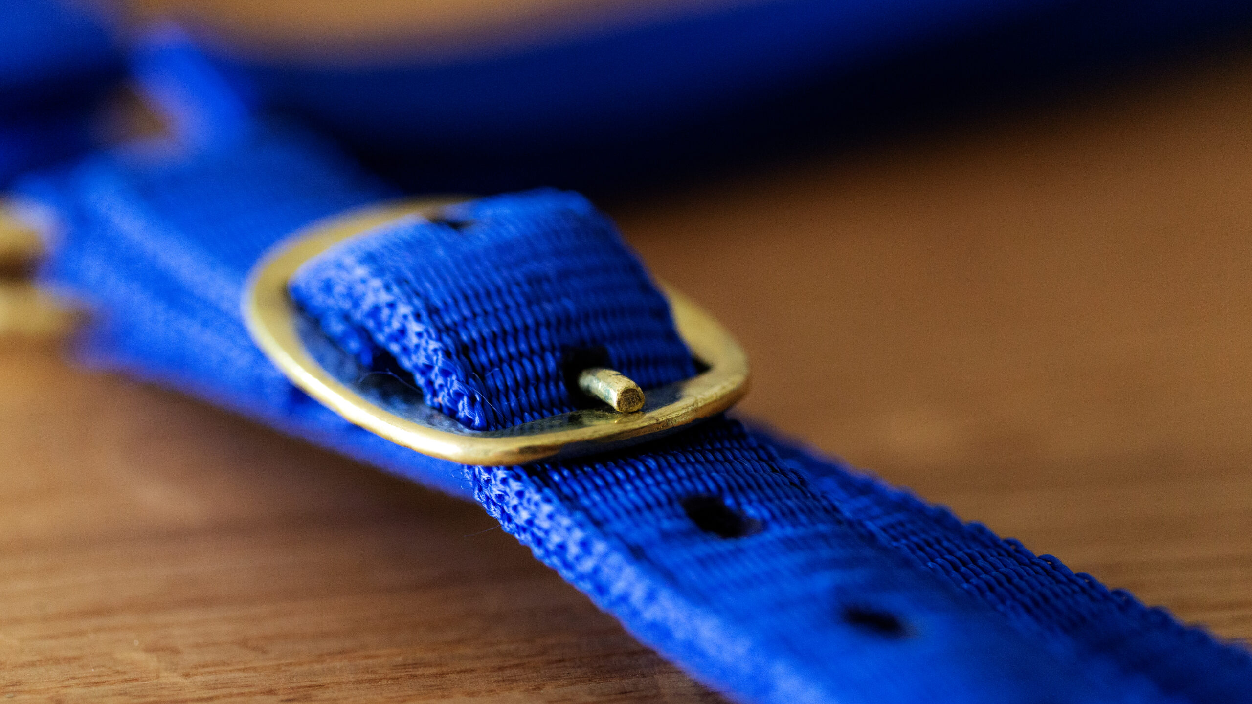 Professional Halfter – Bild 14