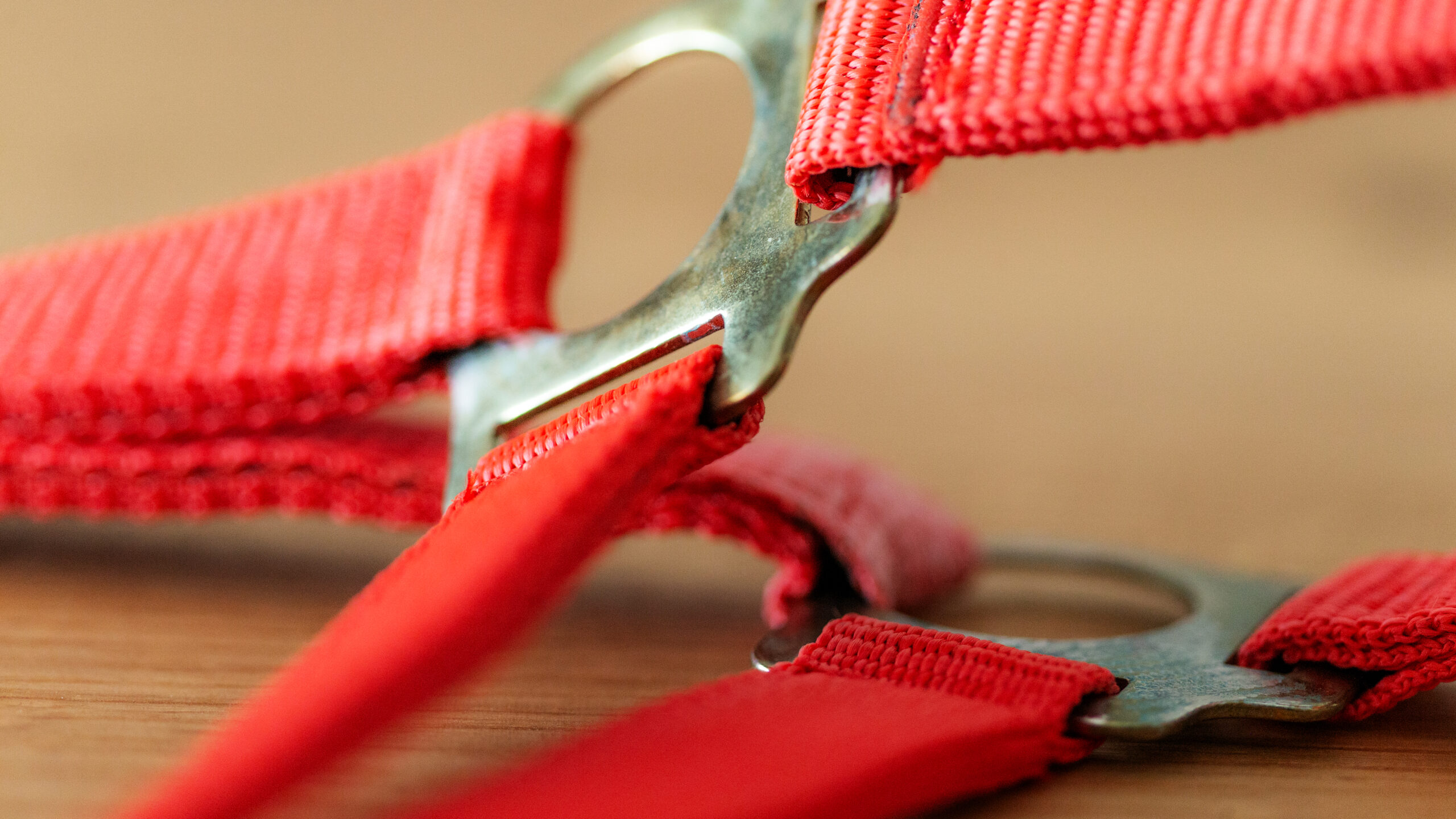 Professional Halfter – Bild 18