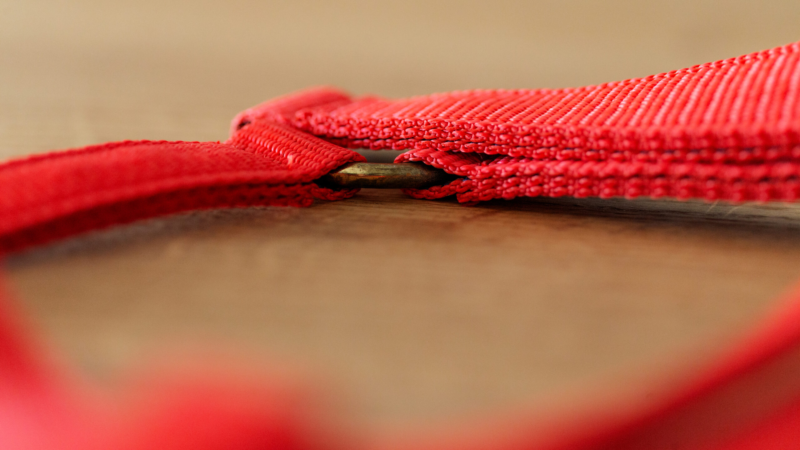 Professional Halfter – Bild 19