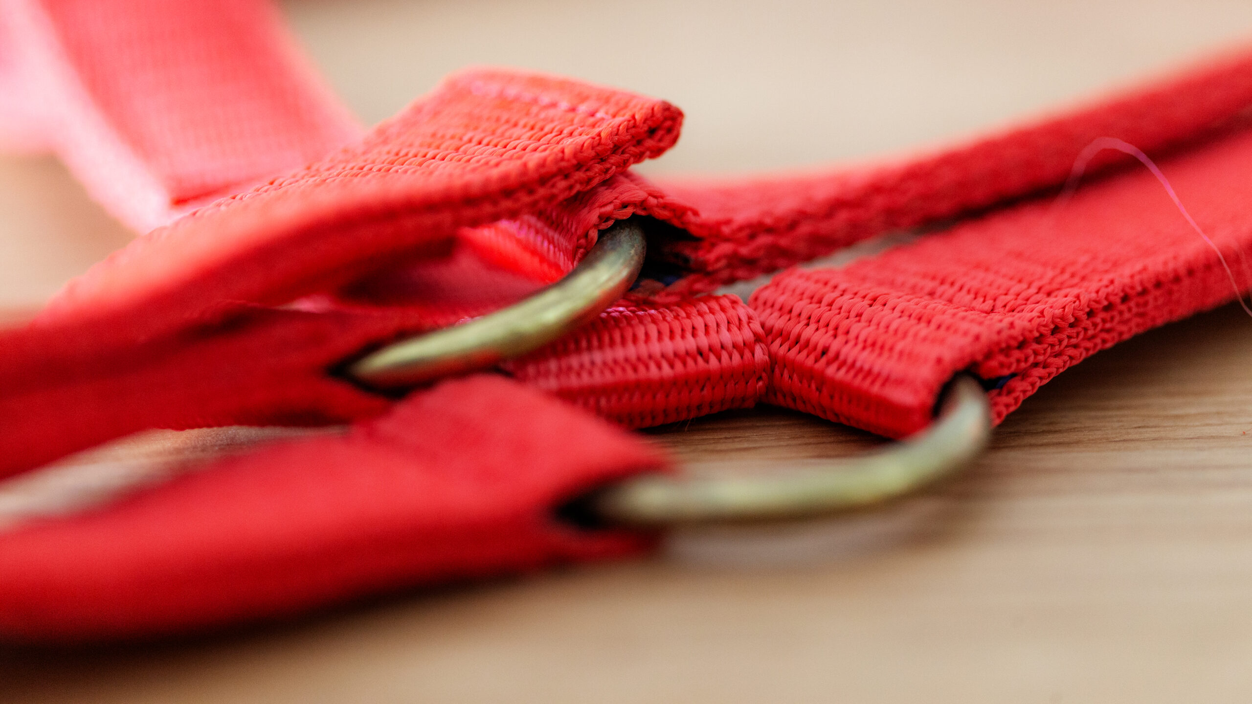 Professional Halfter – Bild 20