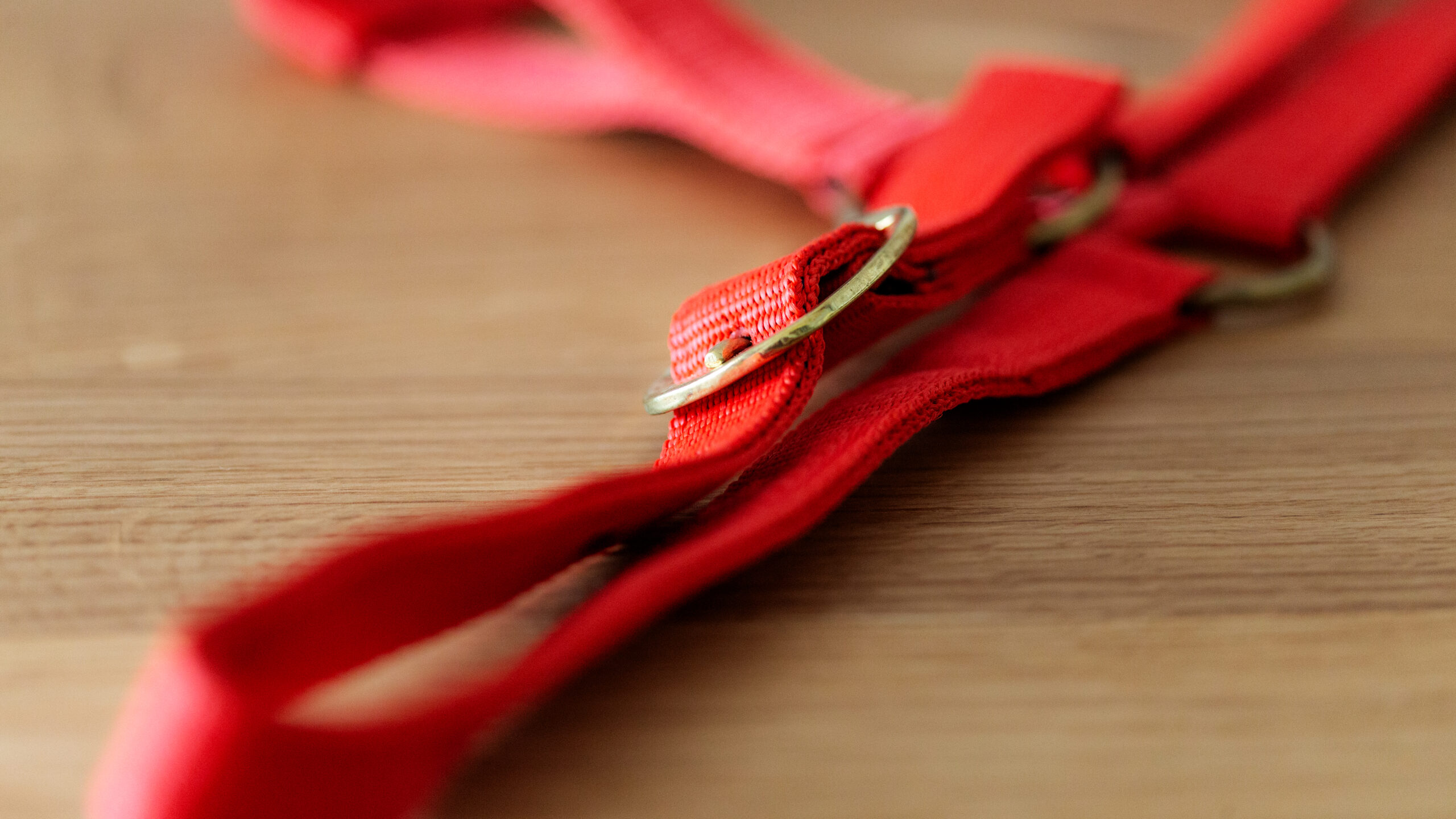 Professional Halfter – Bild 21