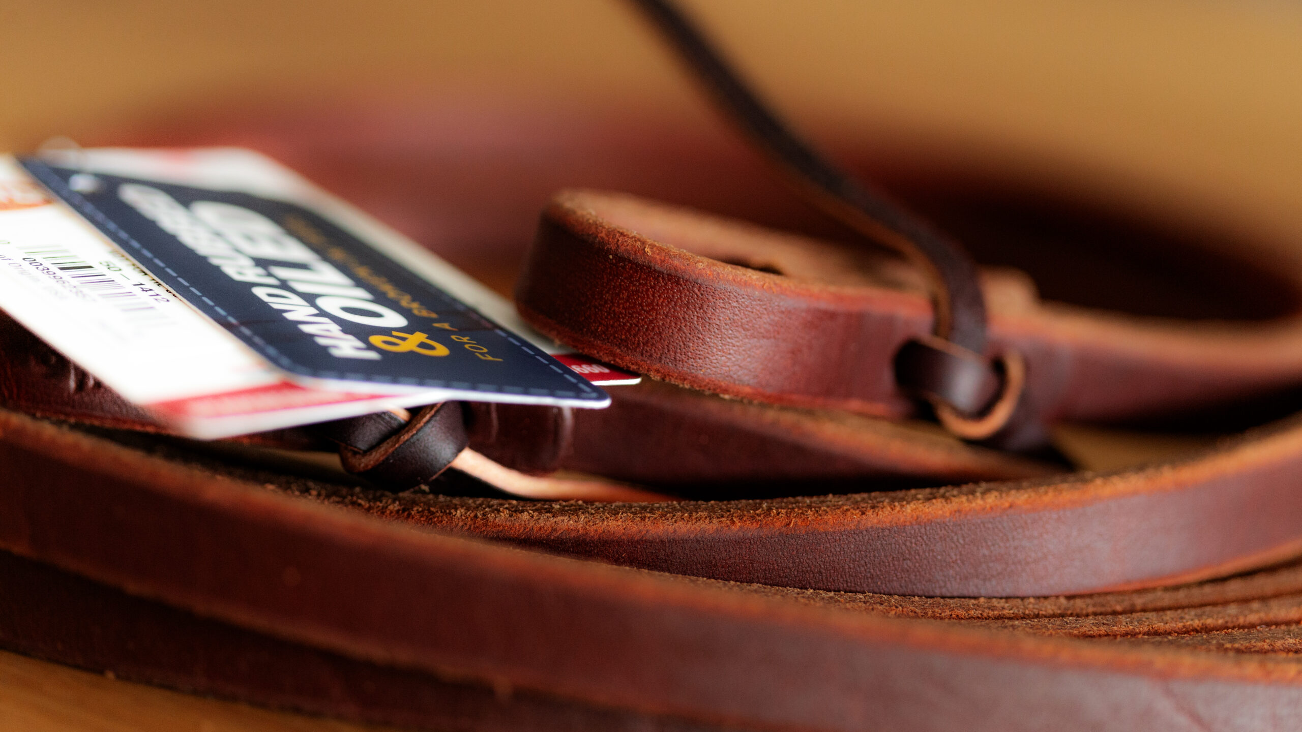 Harness Lederzügel 1/2 Zoll – Bild 4