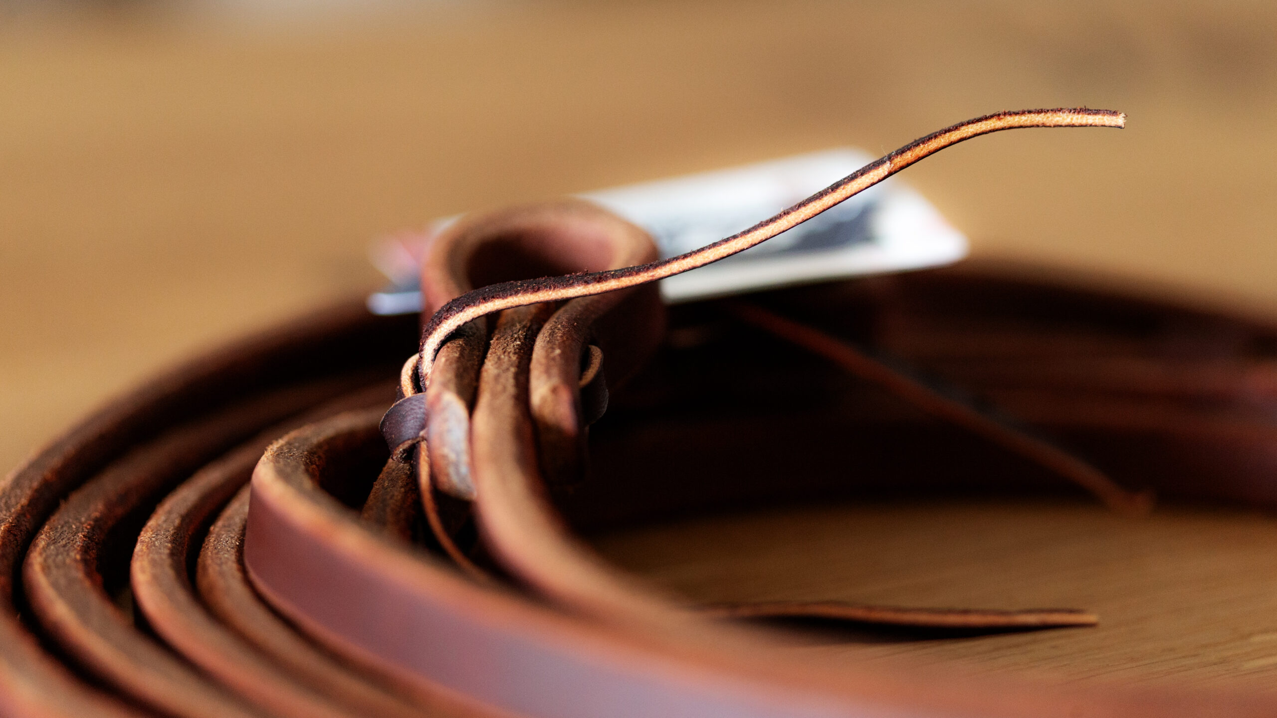 Harness Lederzügel 1/2 Zoll – Bild 5