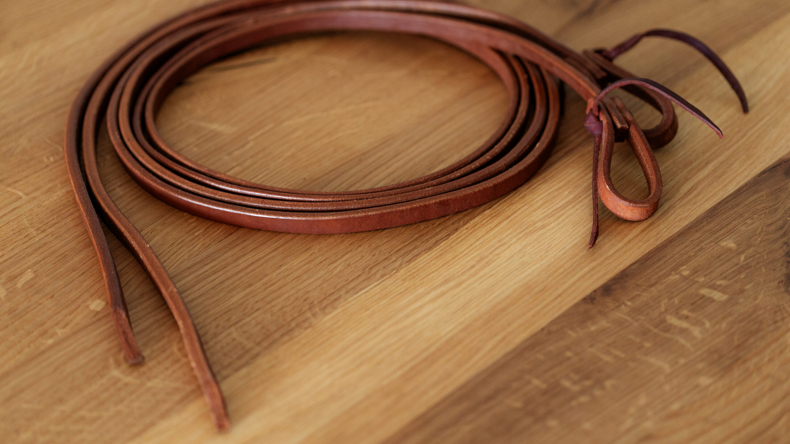 EE Tack Premium Profi Harness Zügel Heavy Harness Tack 1/2 8ft